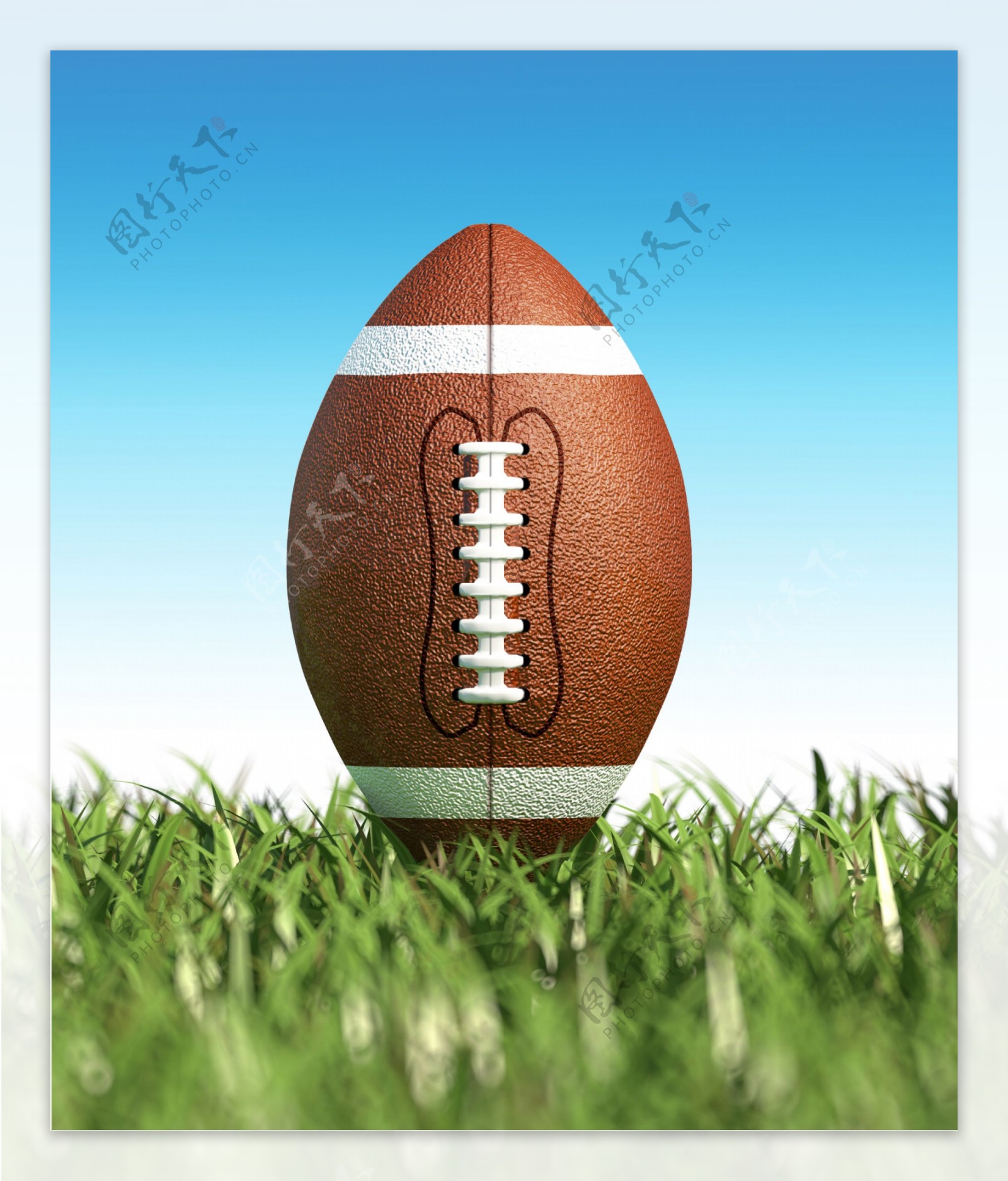草地上立着的橄榄球图片