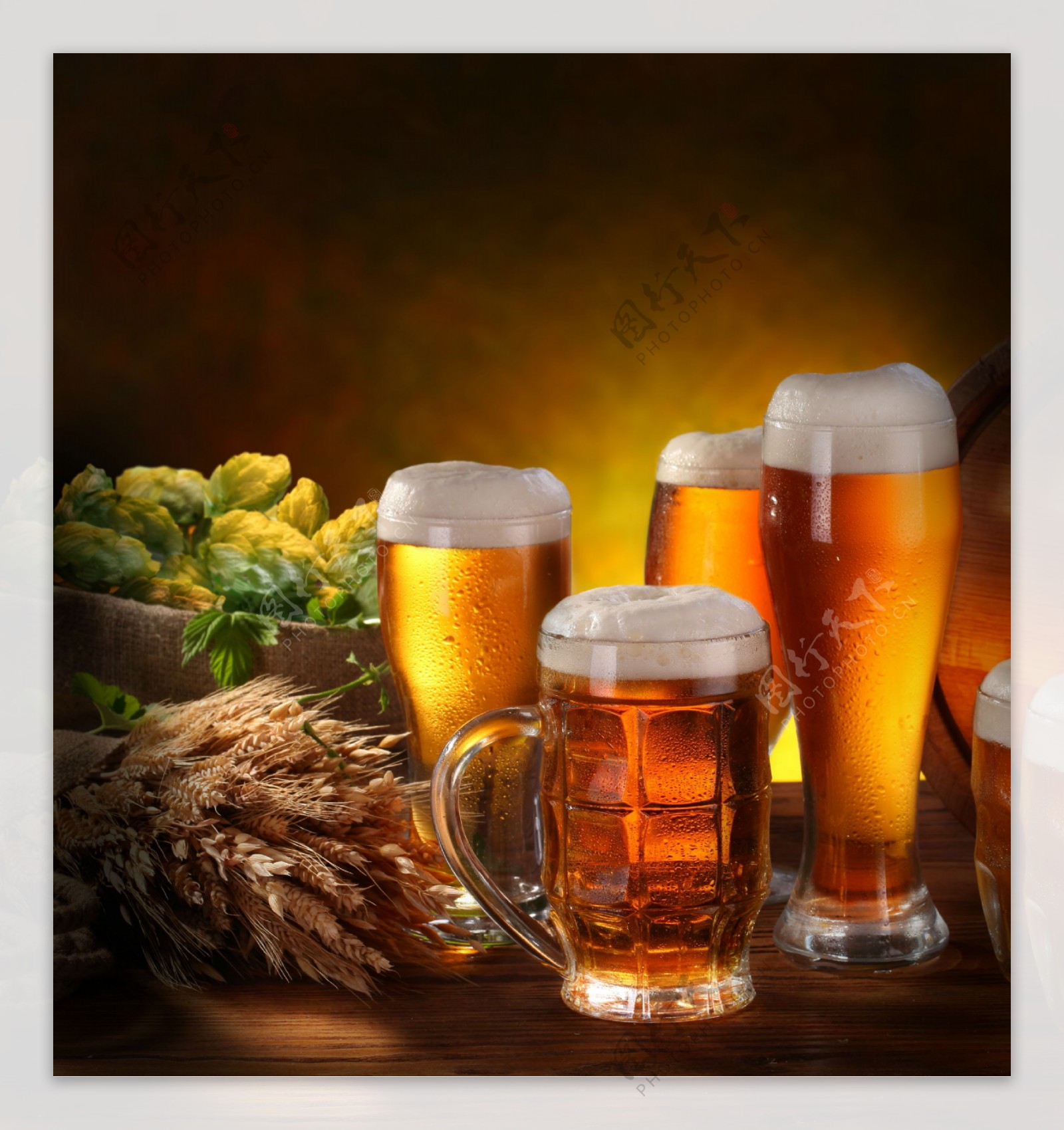 麦子和啤酒图片