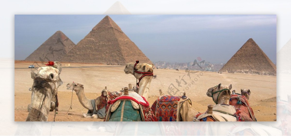 埃及的沙漠和金字塔图片