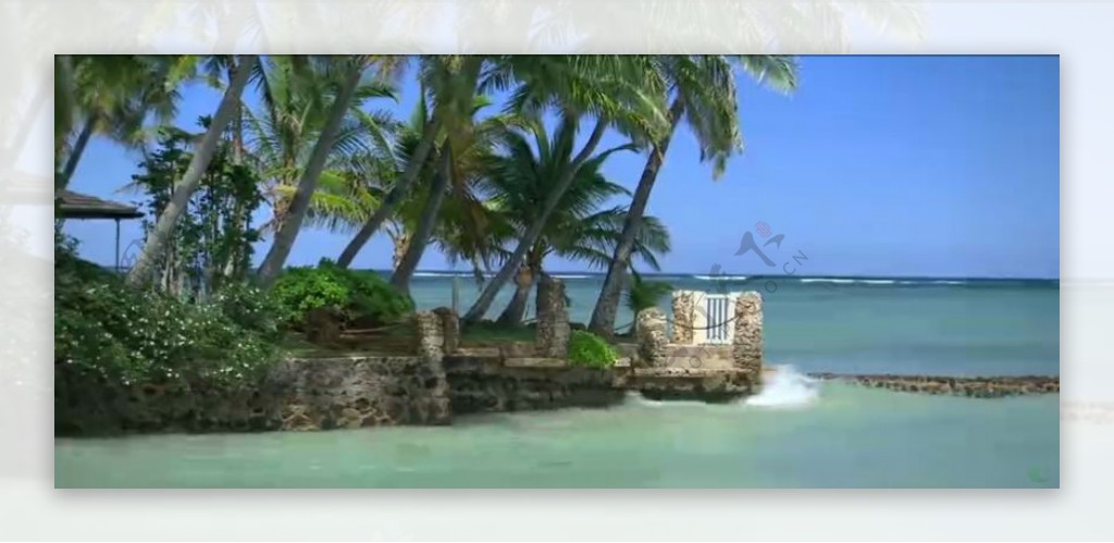 椰树海浪海岸风光高清实拍视频素材