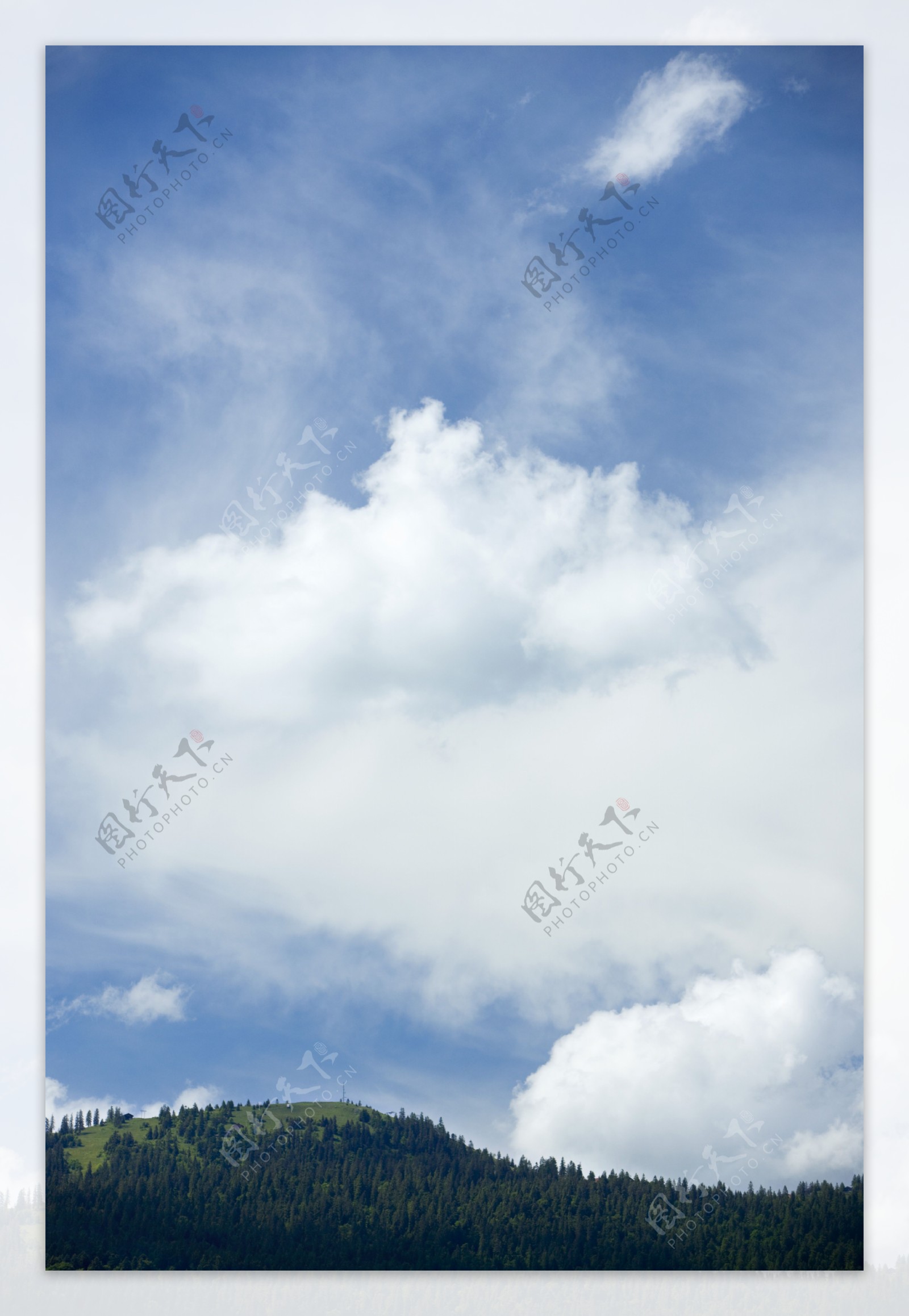 森林与天空风景图片