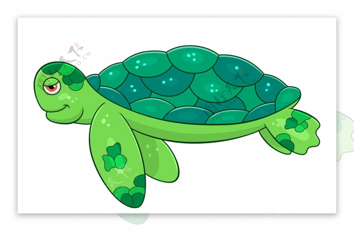 卡通可爱的海龟插画图片素材_ID:124319547-Veer图库