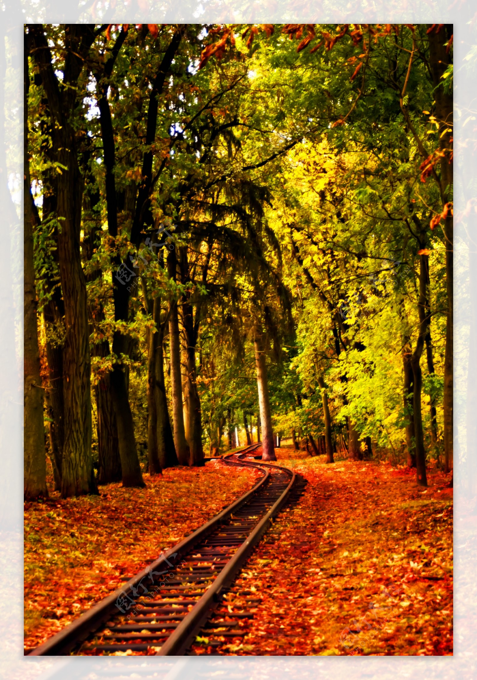 秋天铁路图片