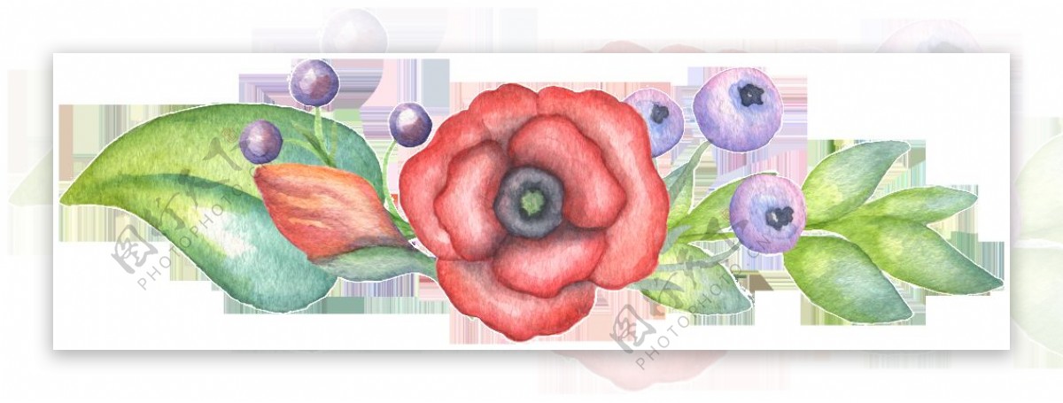 大红美丽花卉竞相开放图片素材