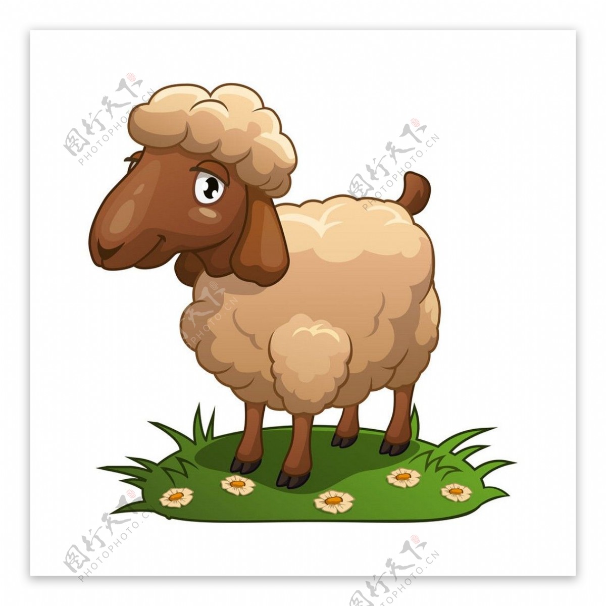 草地卡通绵羊图片