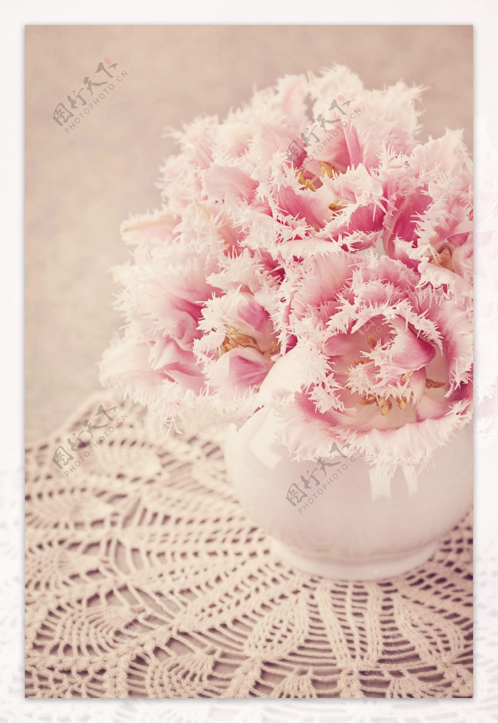 美丽花瓶鲜花摄影图片