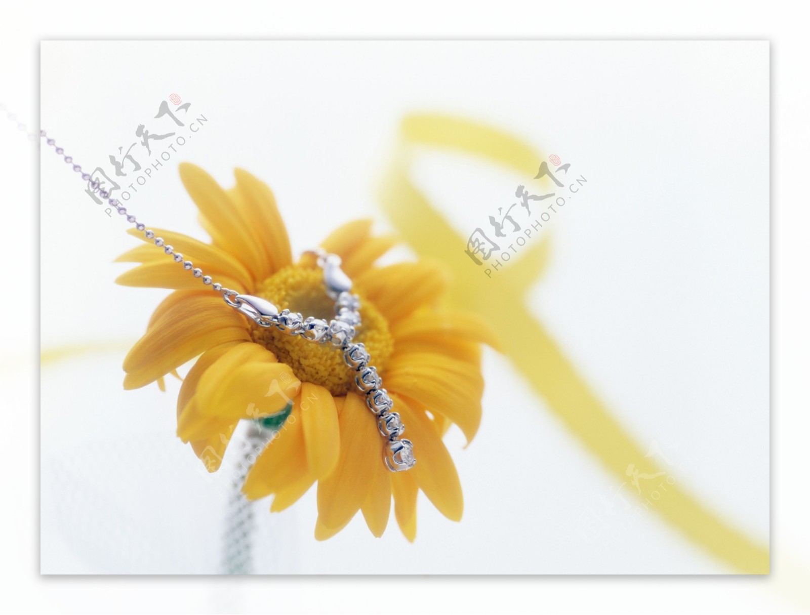 一朵黄花上的钻石项链图片