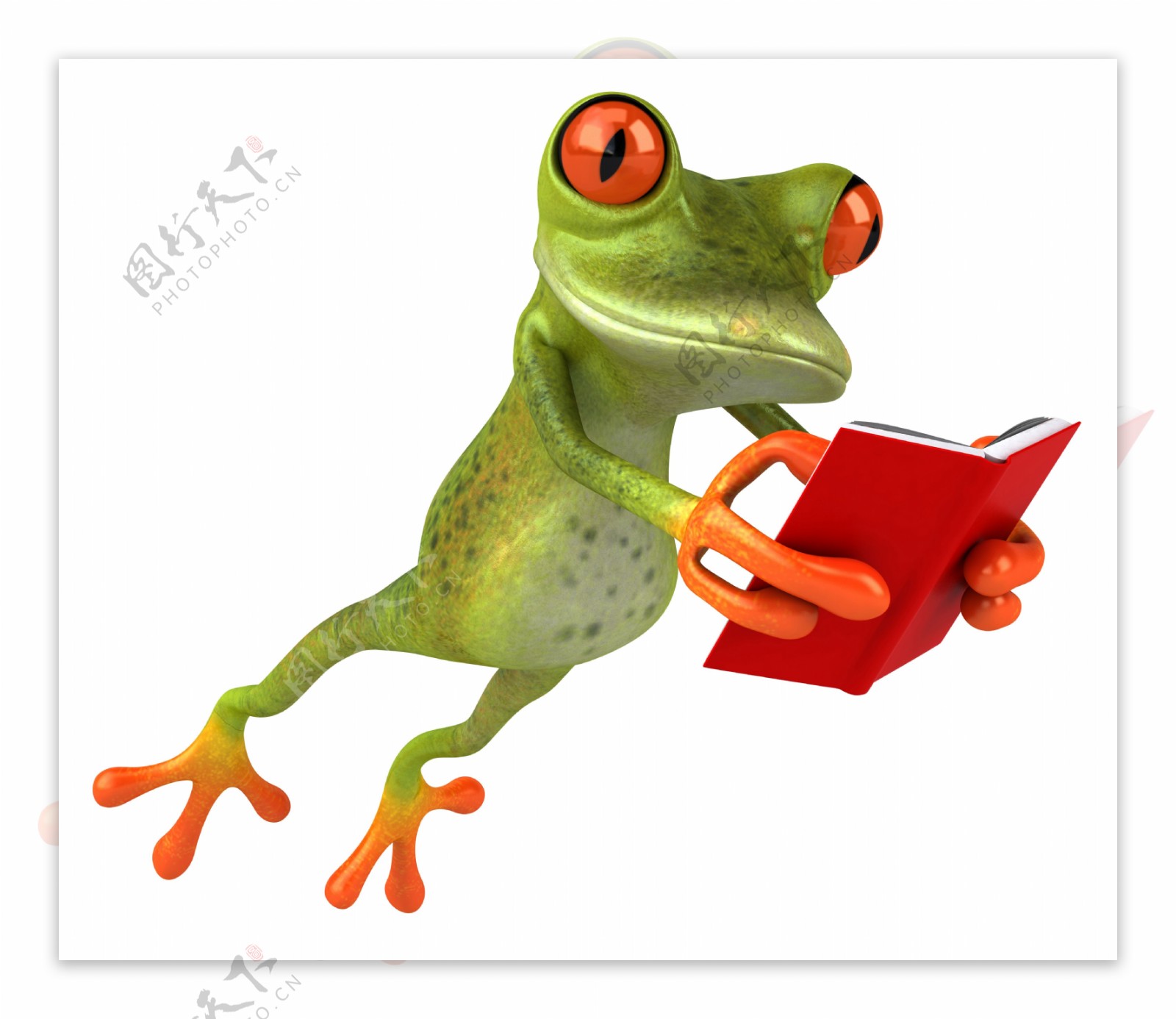 跳跃的青蛙与书本图片