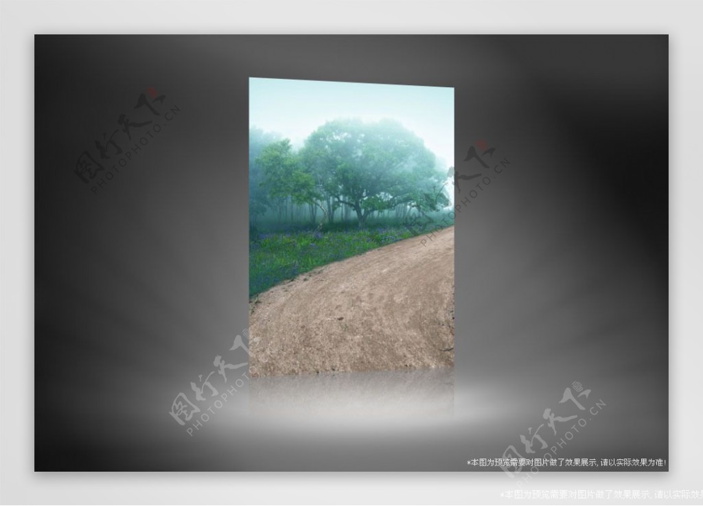 雾蒙蒙的清晨树林影楼摄影背景图片