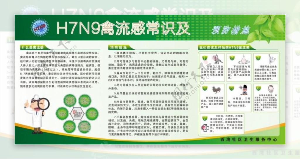 H7N9流感宣传栏