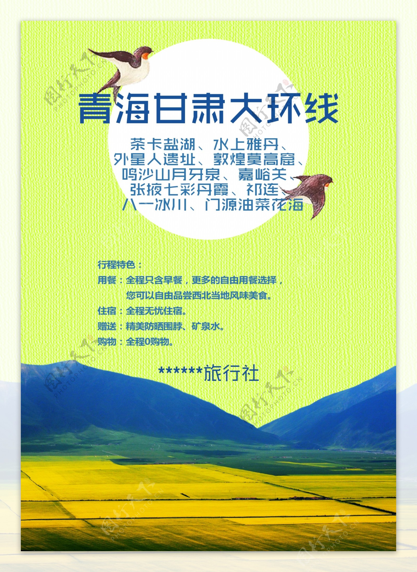 青海油菜花海旅游海报