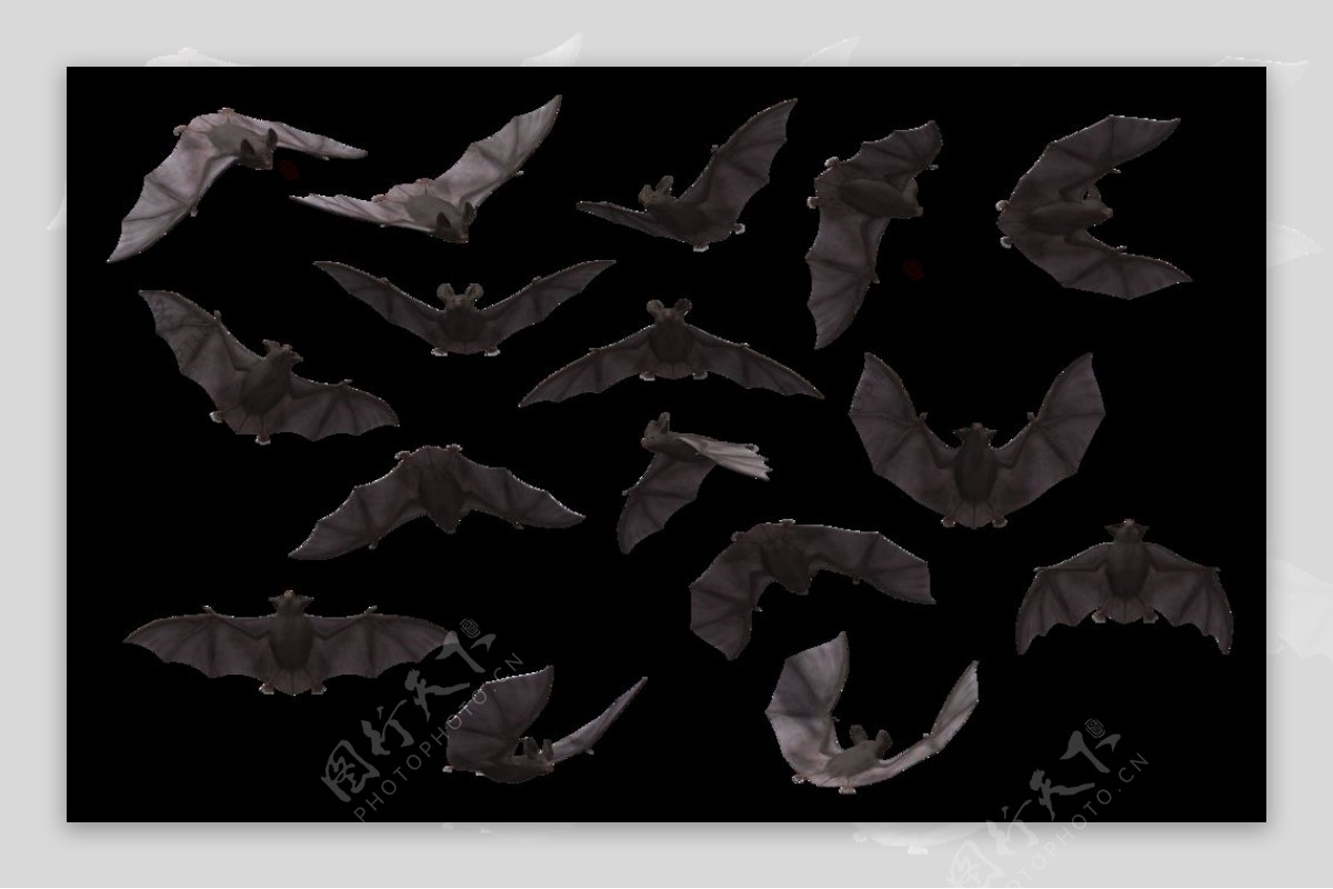 各种姿态蝙蝠剪影免抠png透明图层素材