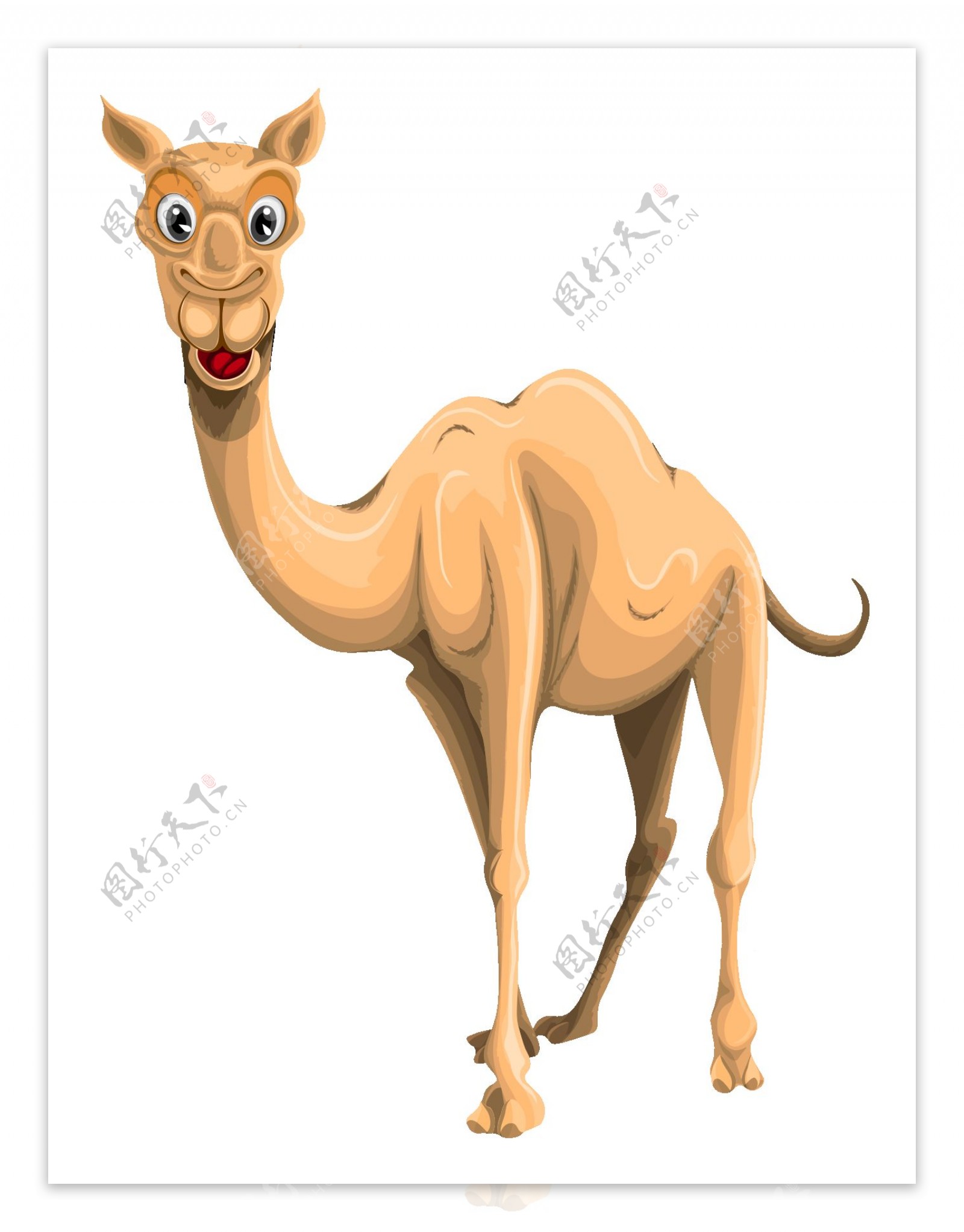 卡通骆驼插图(骆驼、卡通、动物)儿童插图_北极熊素材库
