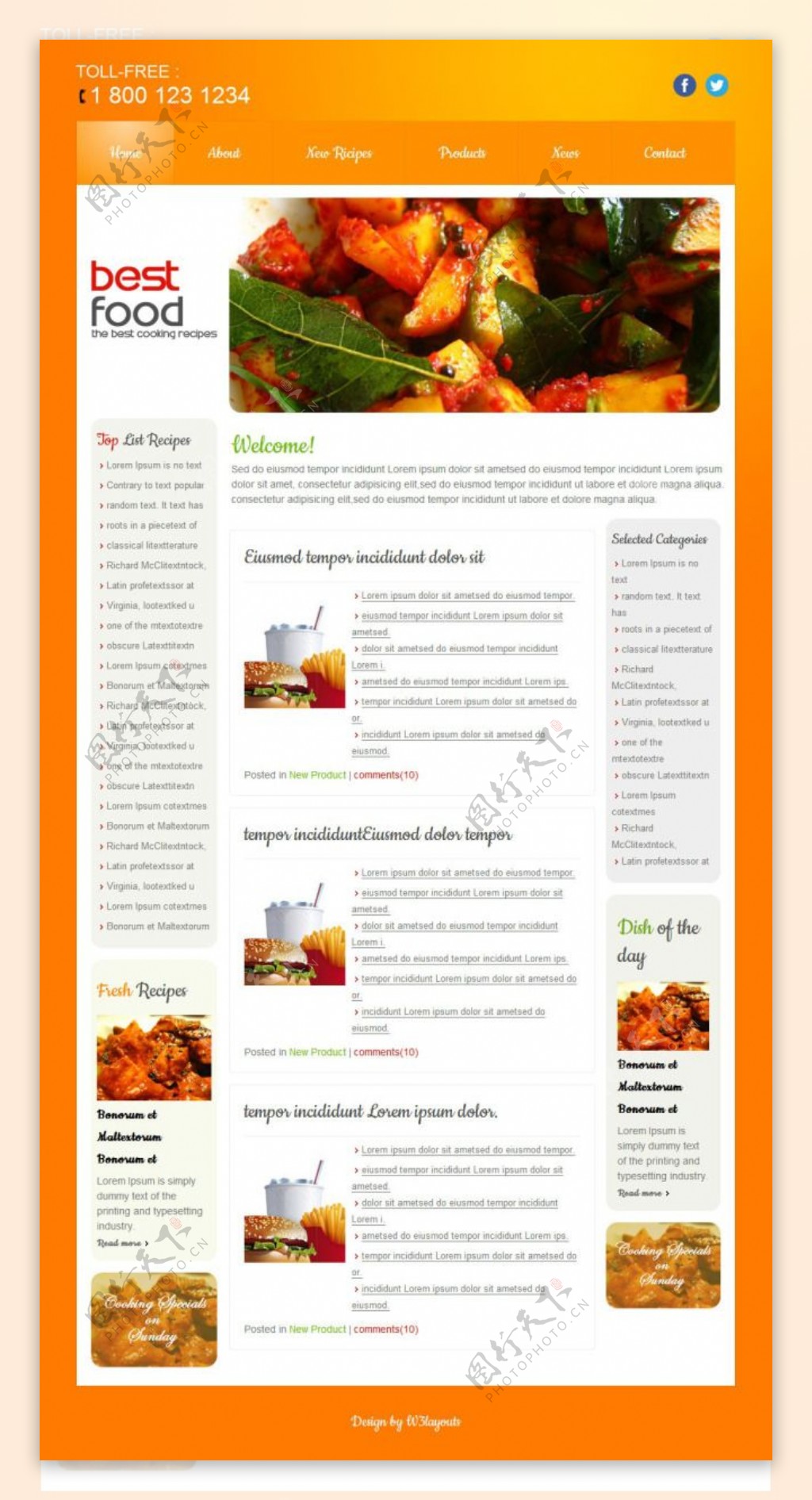 橙色美食日志网页模板