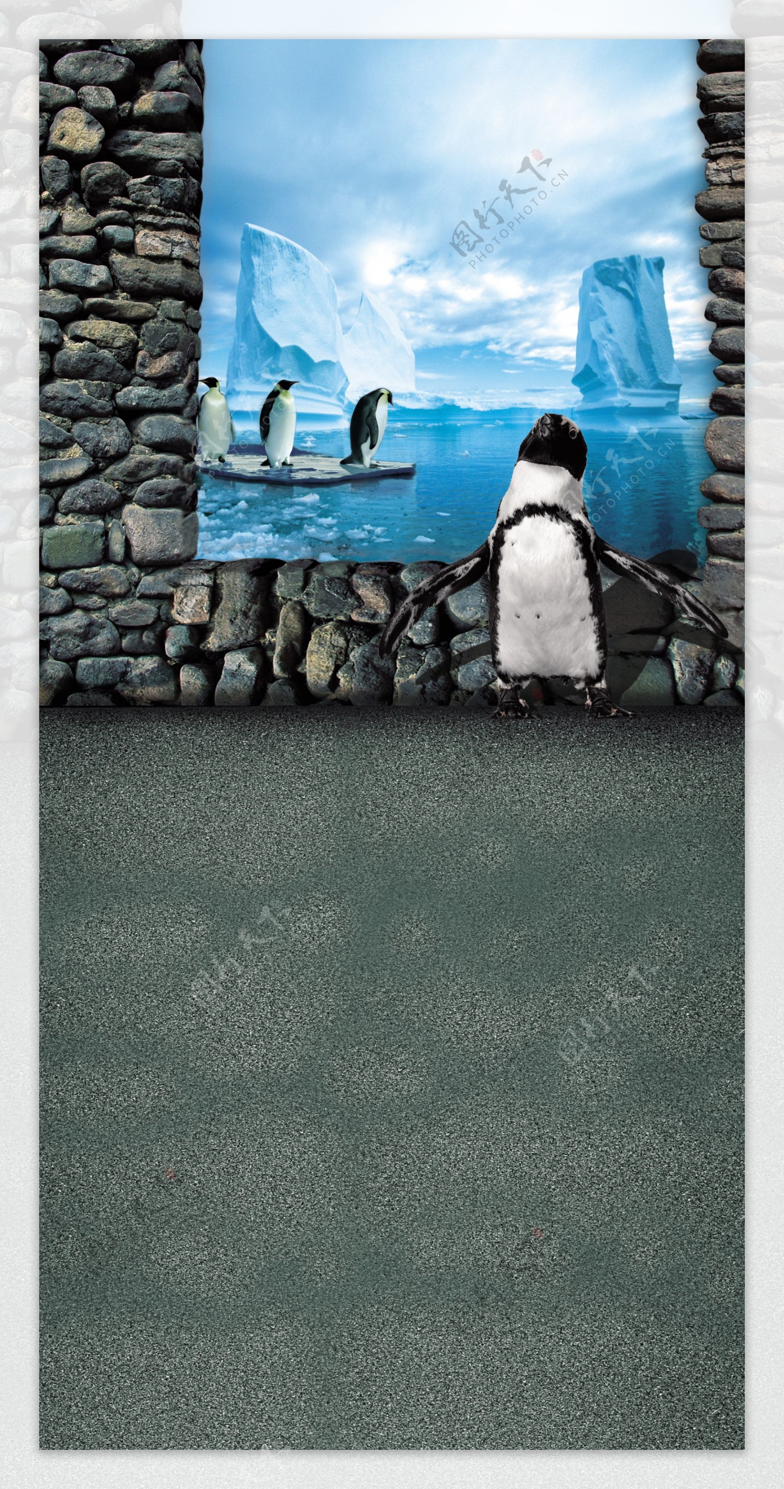 南极冰山企鹅视觉影楼摄影背景图片