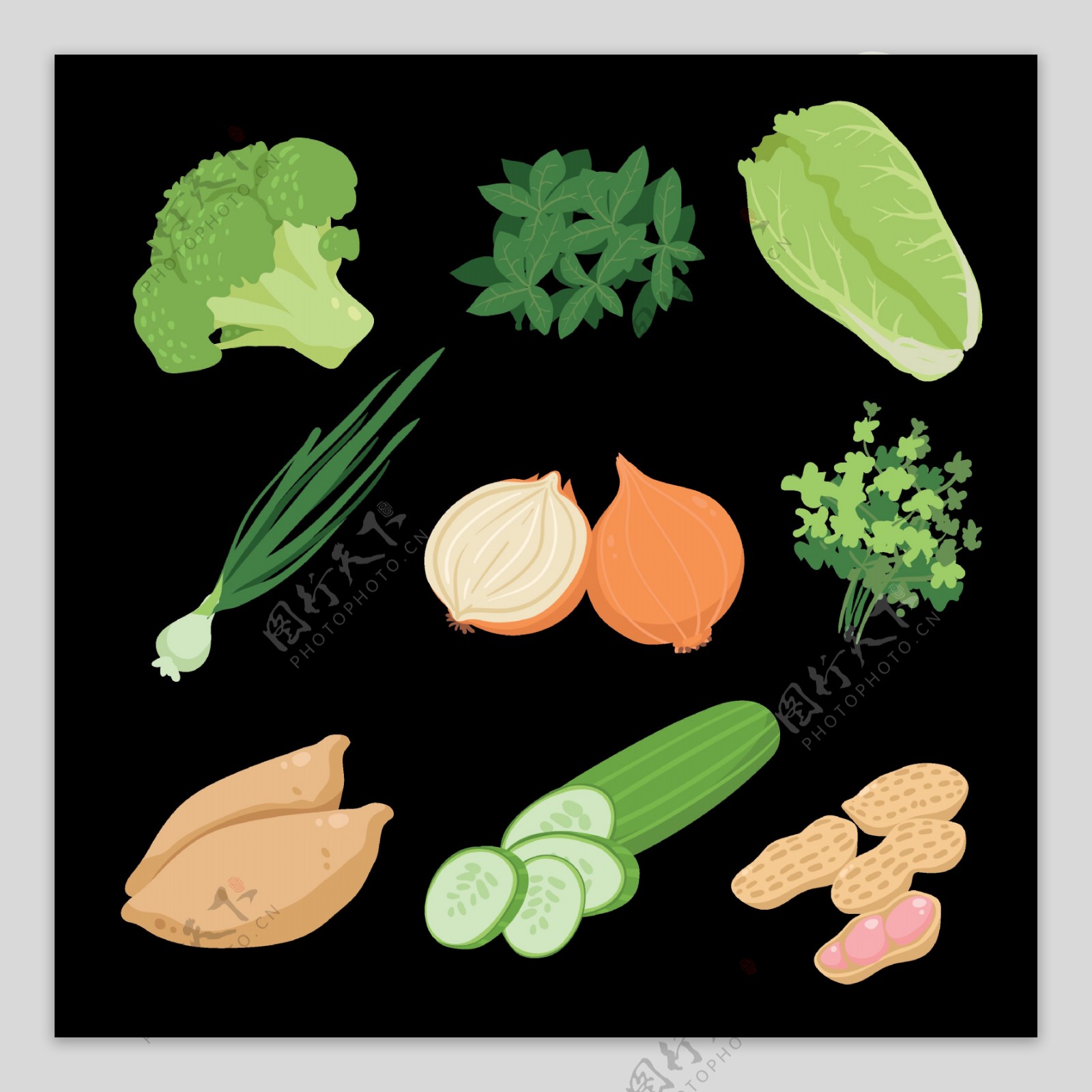 各种写实蔬菜插图免抠png透明图层素材