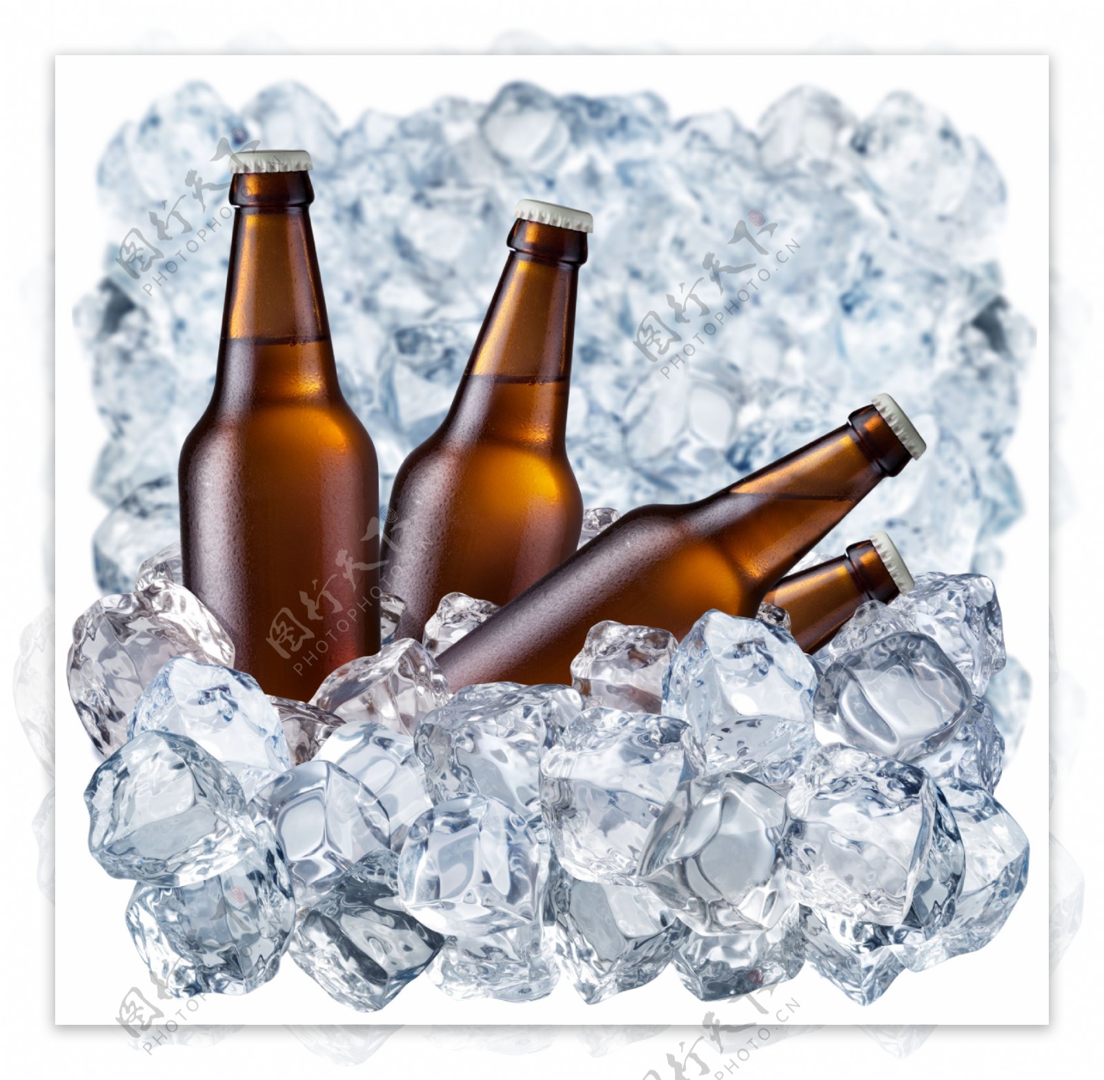 冰块冰冻着的啤酒图片