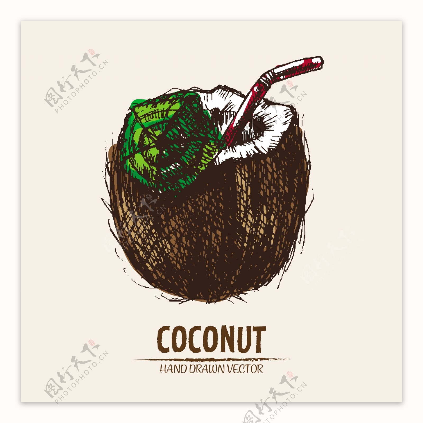 手绘椰子饮料插图背景