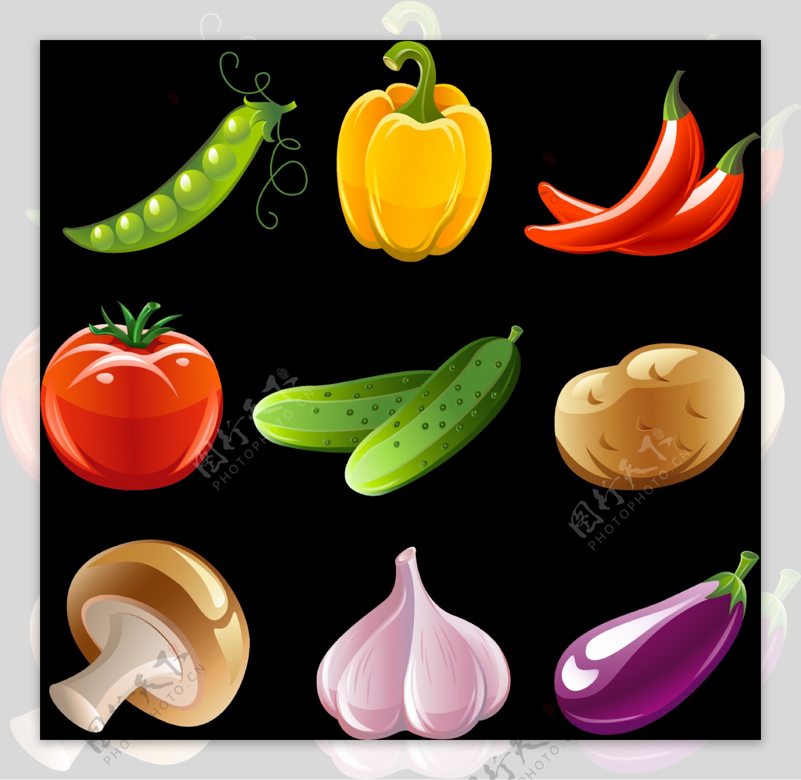 各种新鲜蔬菜插图免抠png透明图层素材