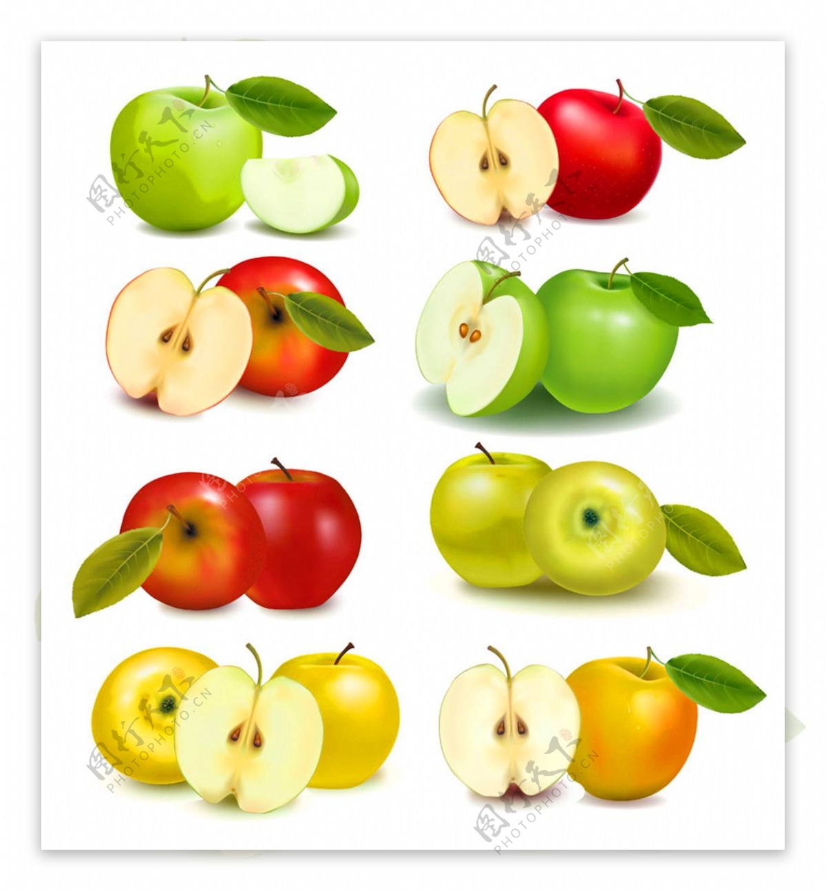 绿苹果红苹果图片