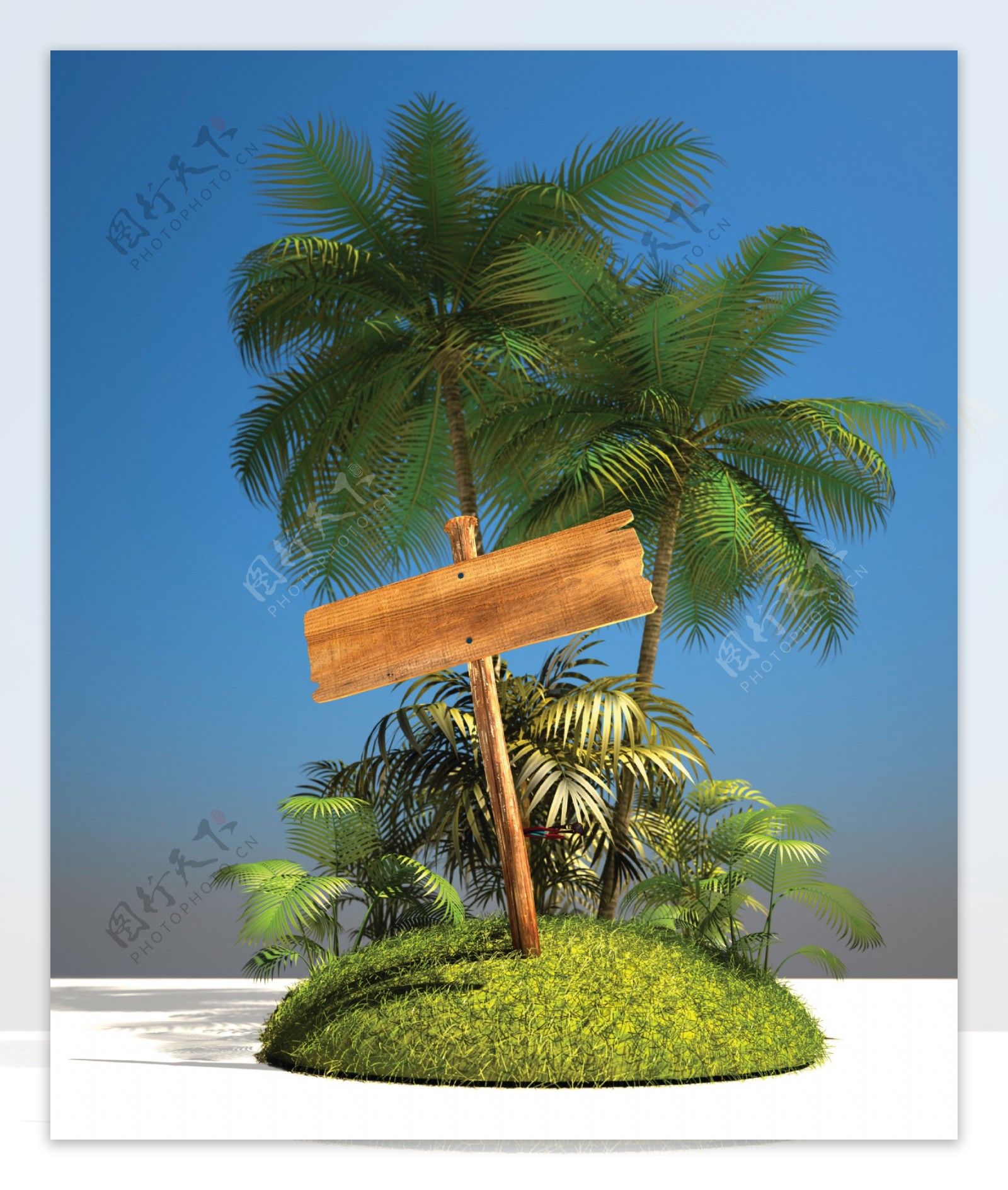 椰树与路标指示牌图片