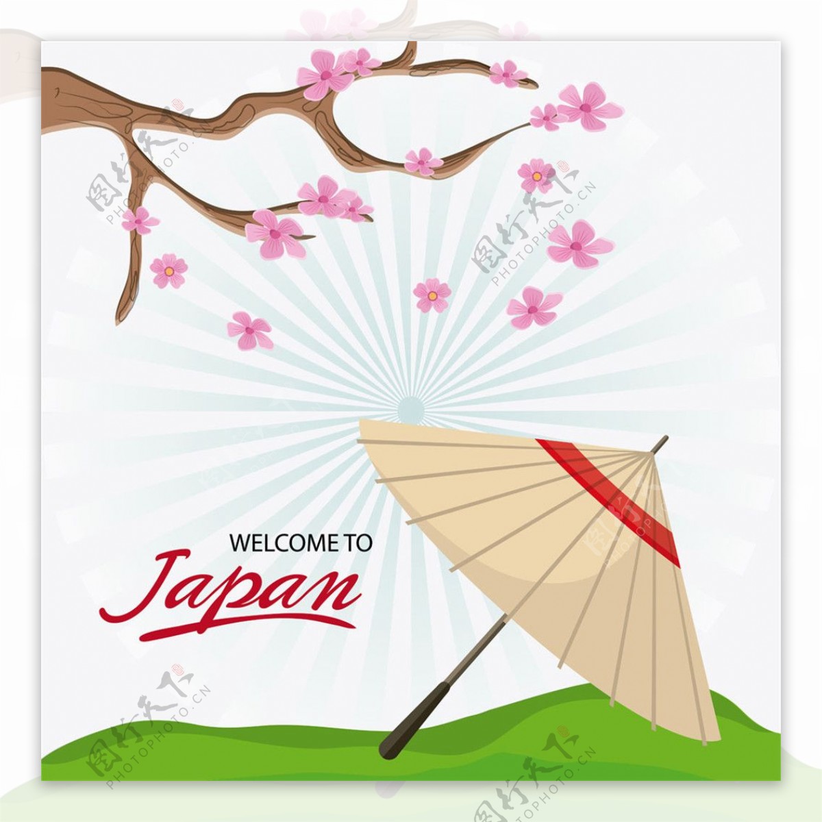 樱花树下的雨伞图片