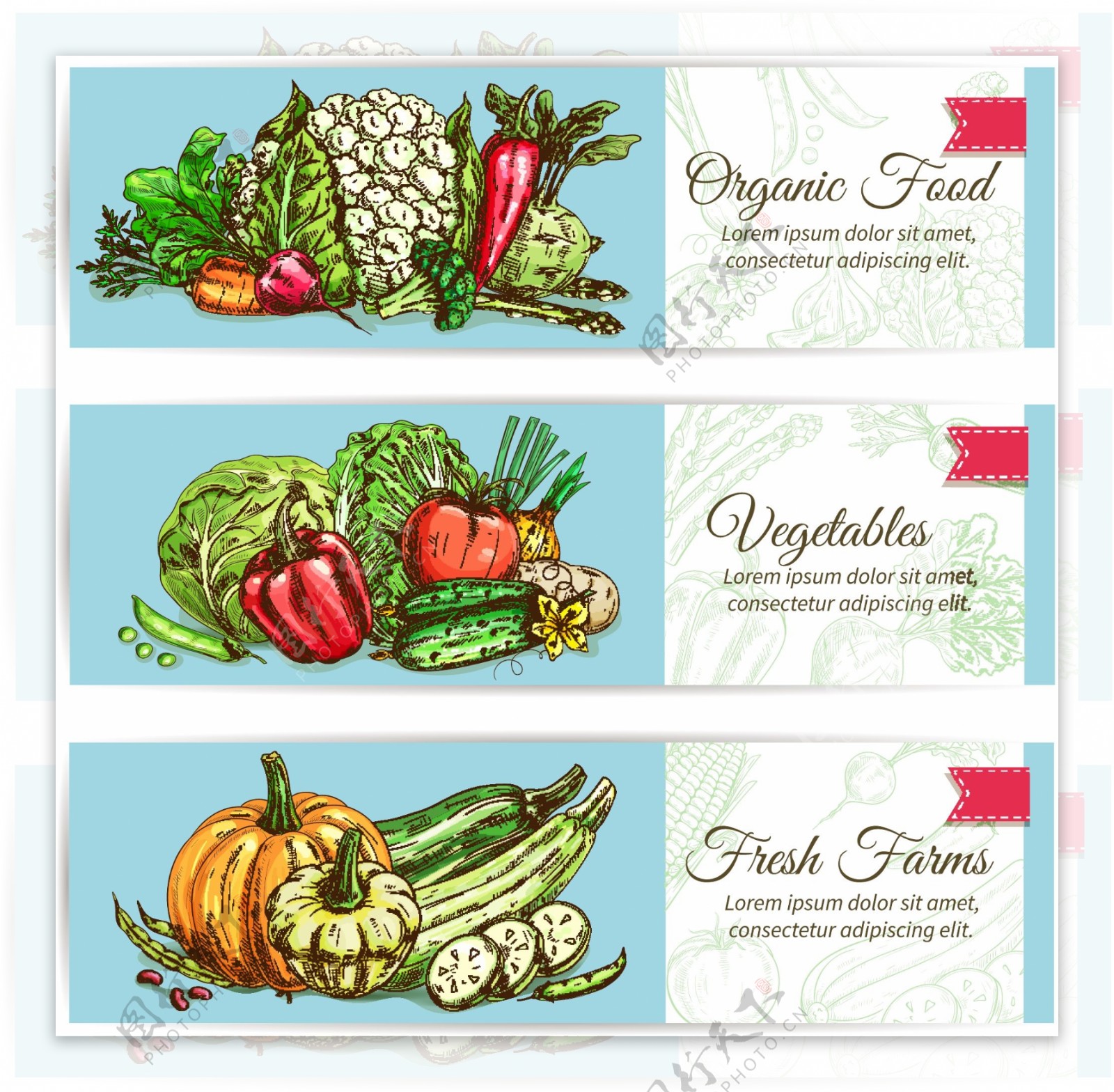 简约蓝色健康蔬菜水果海报卡片背景矢量