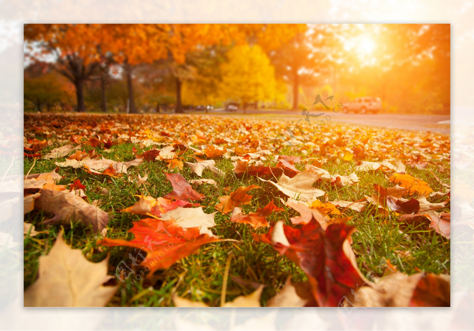 秋季自然风光摄影图片