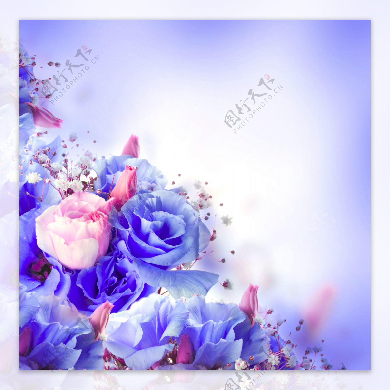 梦幻背景与蓝色花朵图片