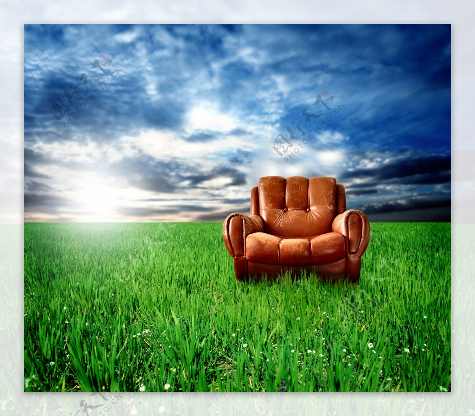 草地上的欧式椅子图片