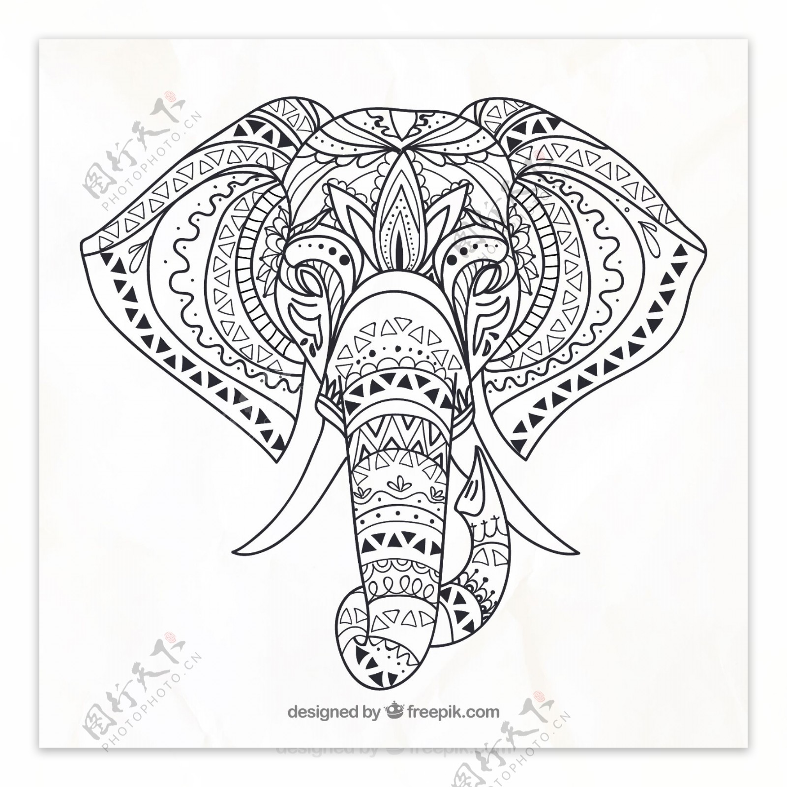 大象头黑白线稿手绘插画