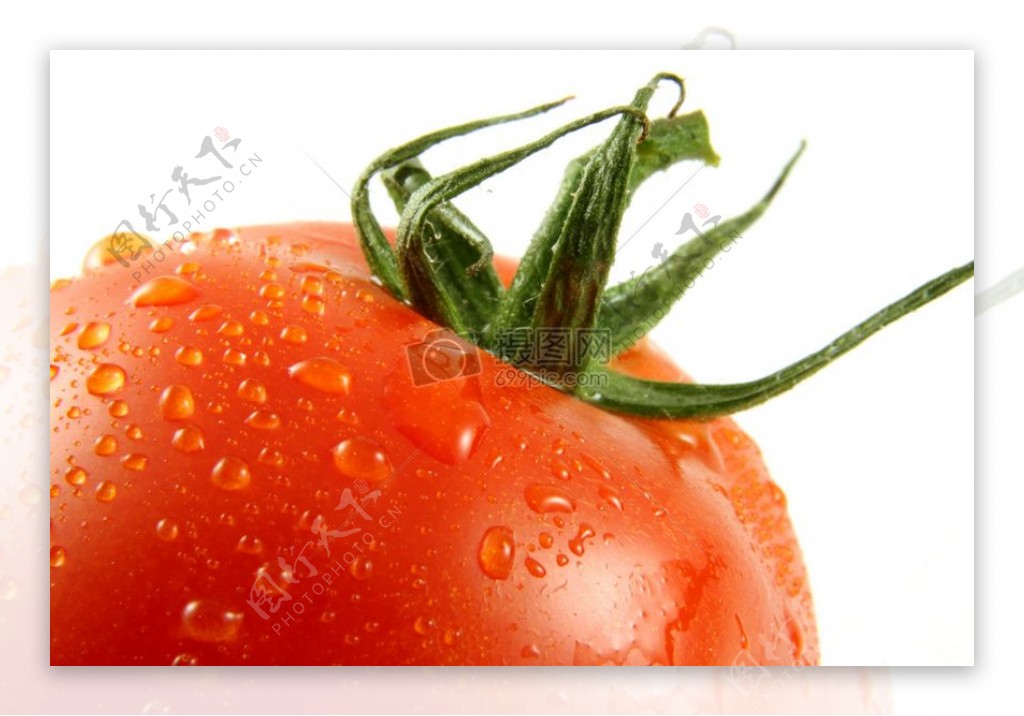 一颗带水滴的番茄