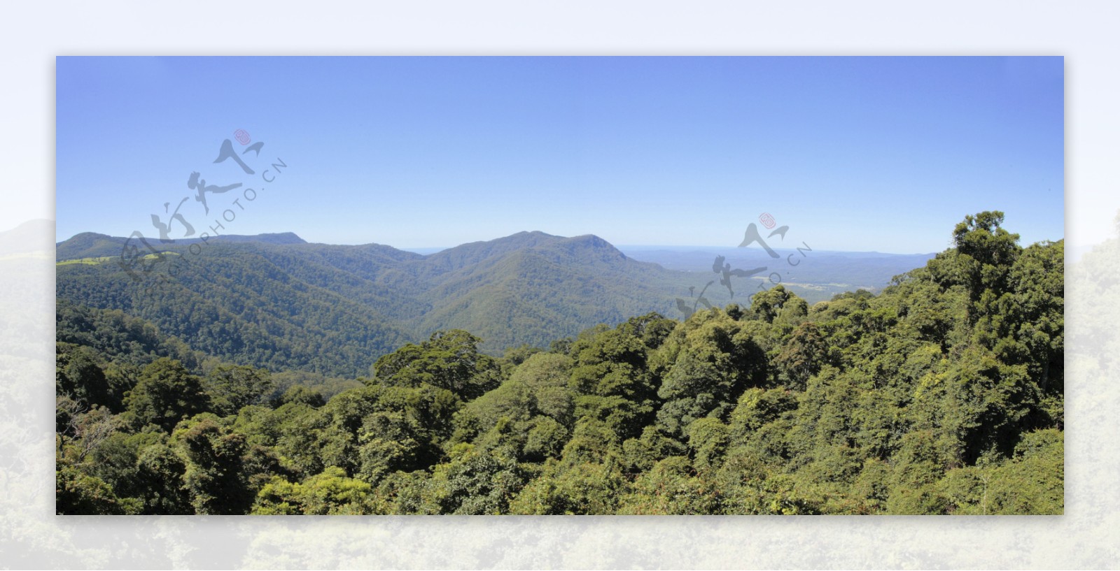 森林山峦风景图图片