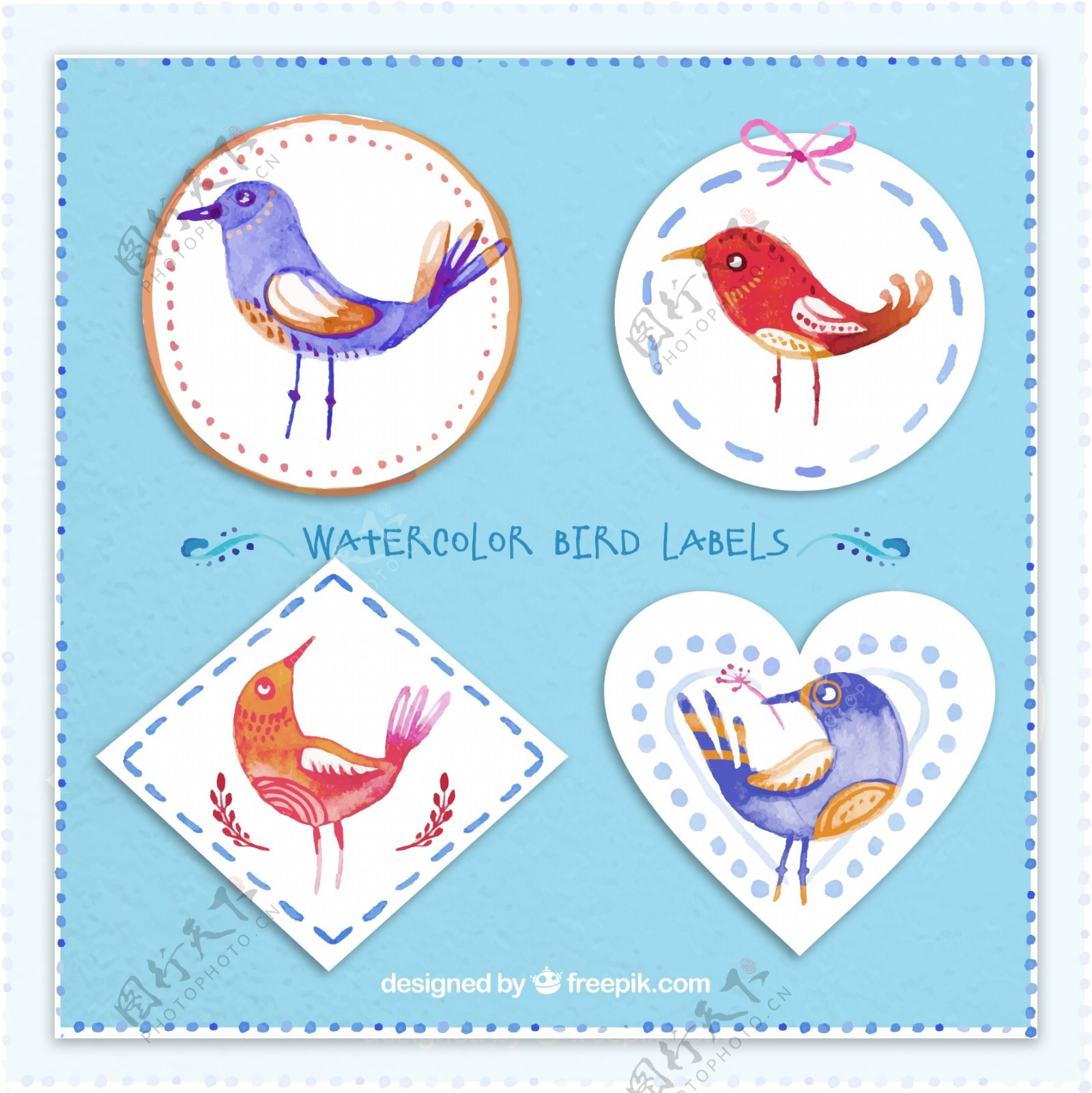 4款水彩绘鸟类标签矢量素材