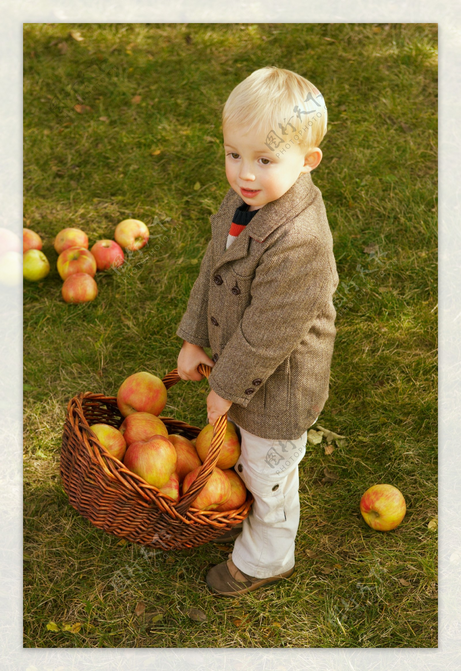 苹果与儿童图片