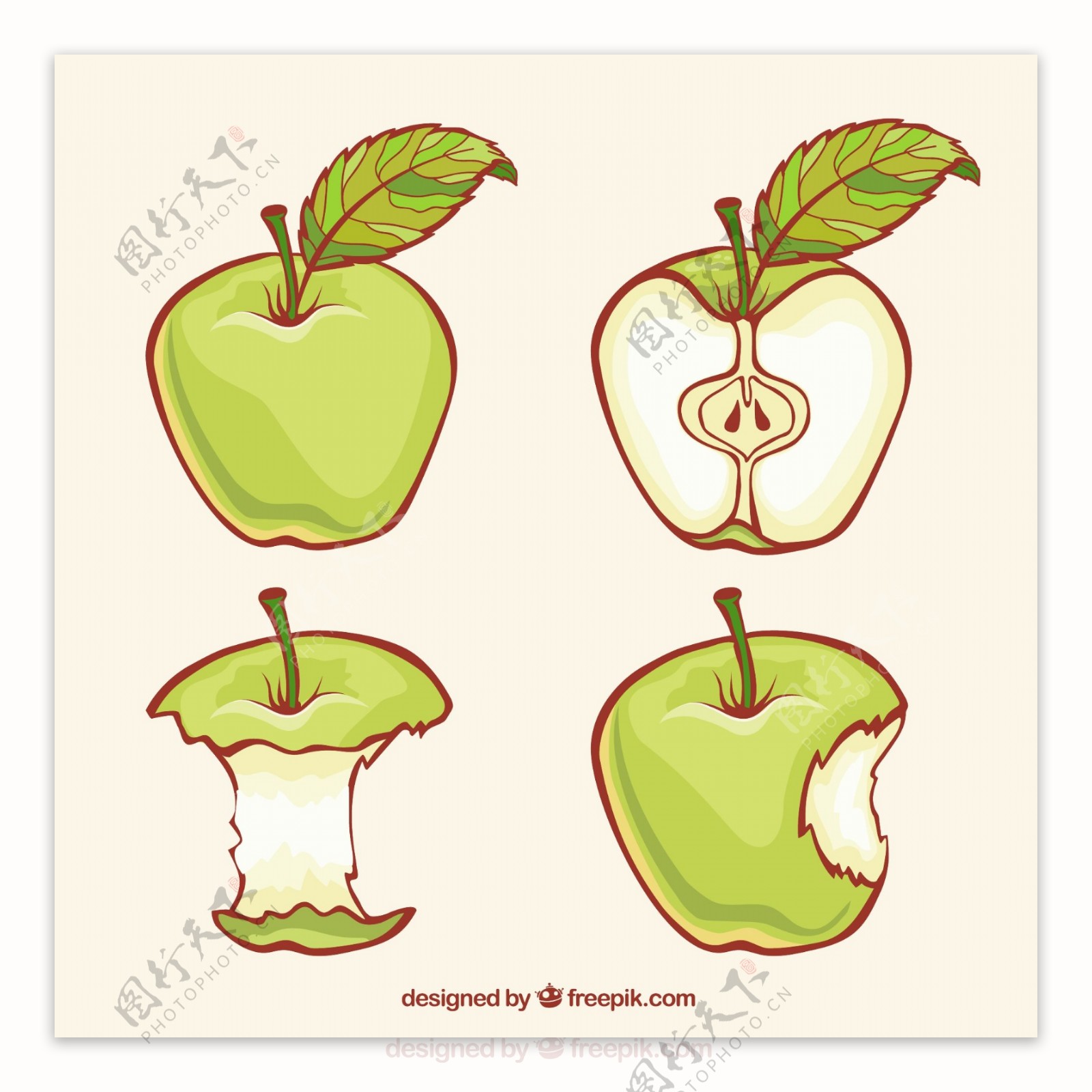 苹果水果矢量图