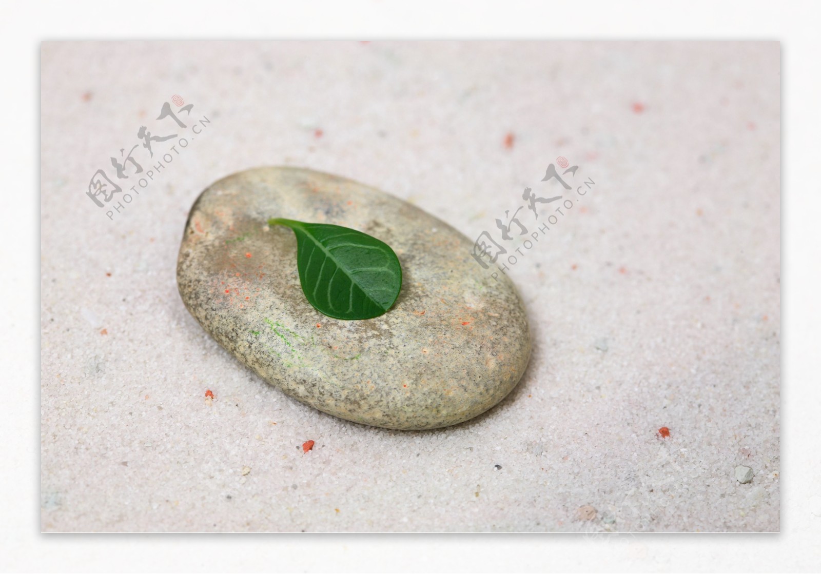 椭圆形石头与绿叶图片