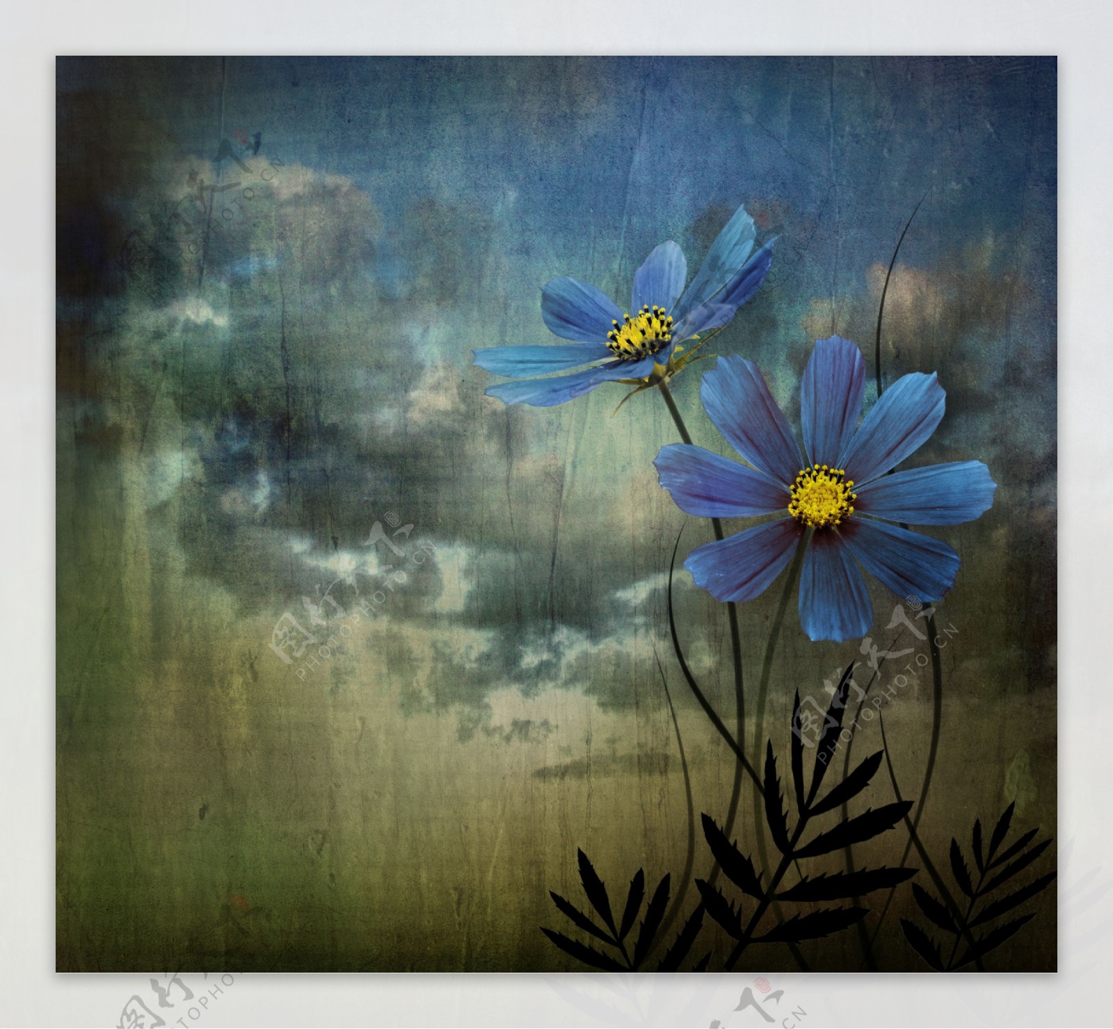 怀旧背景与蓝色花朵图片