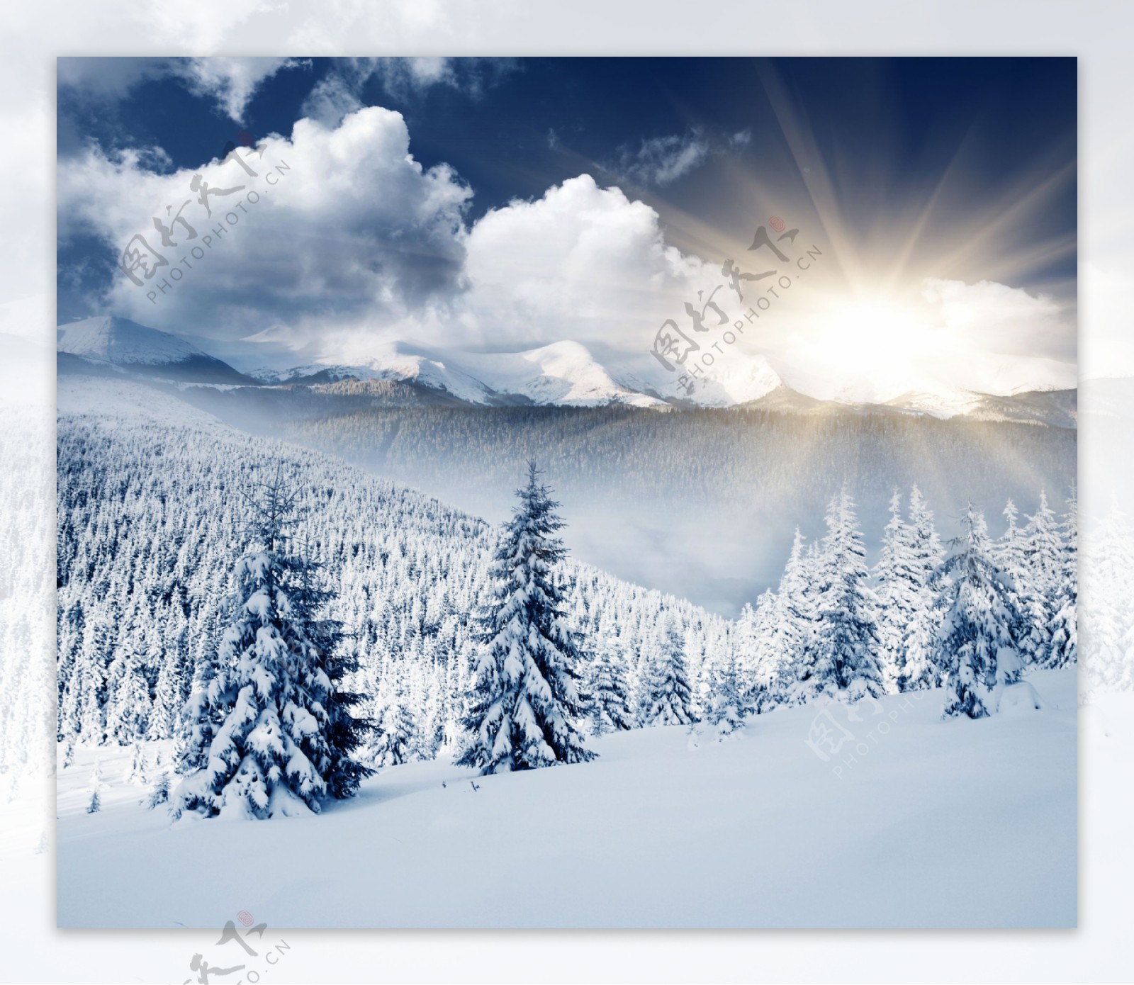 冬天积雪美景图片