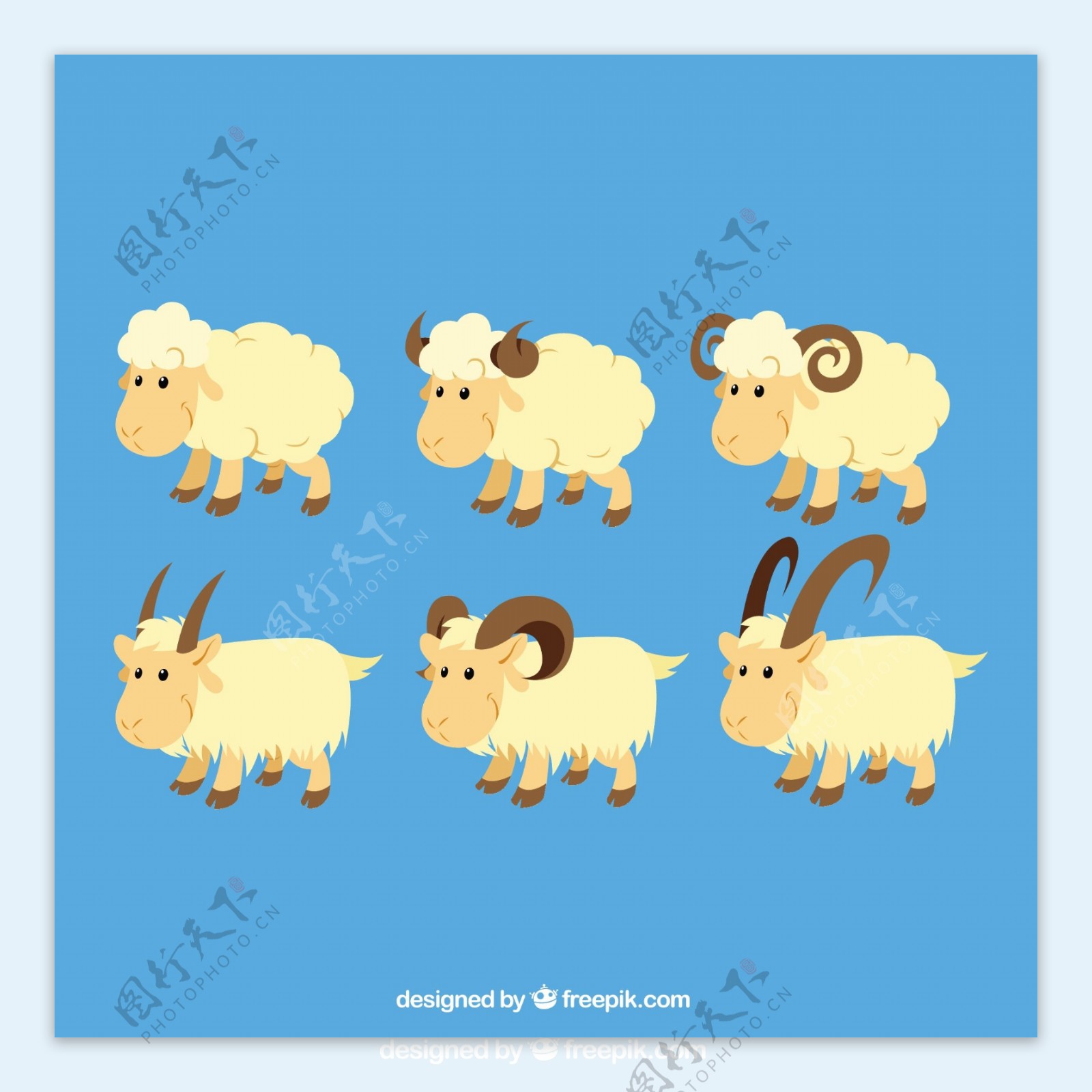绵羊和山羊的插图