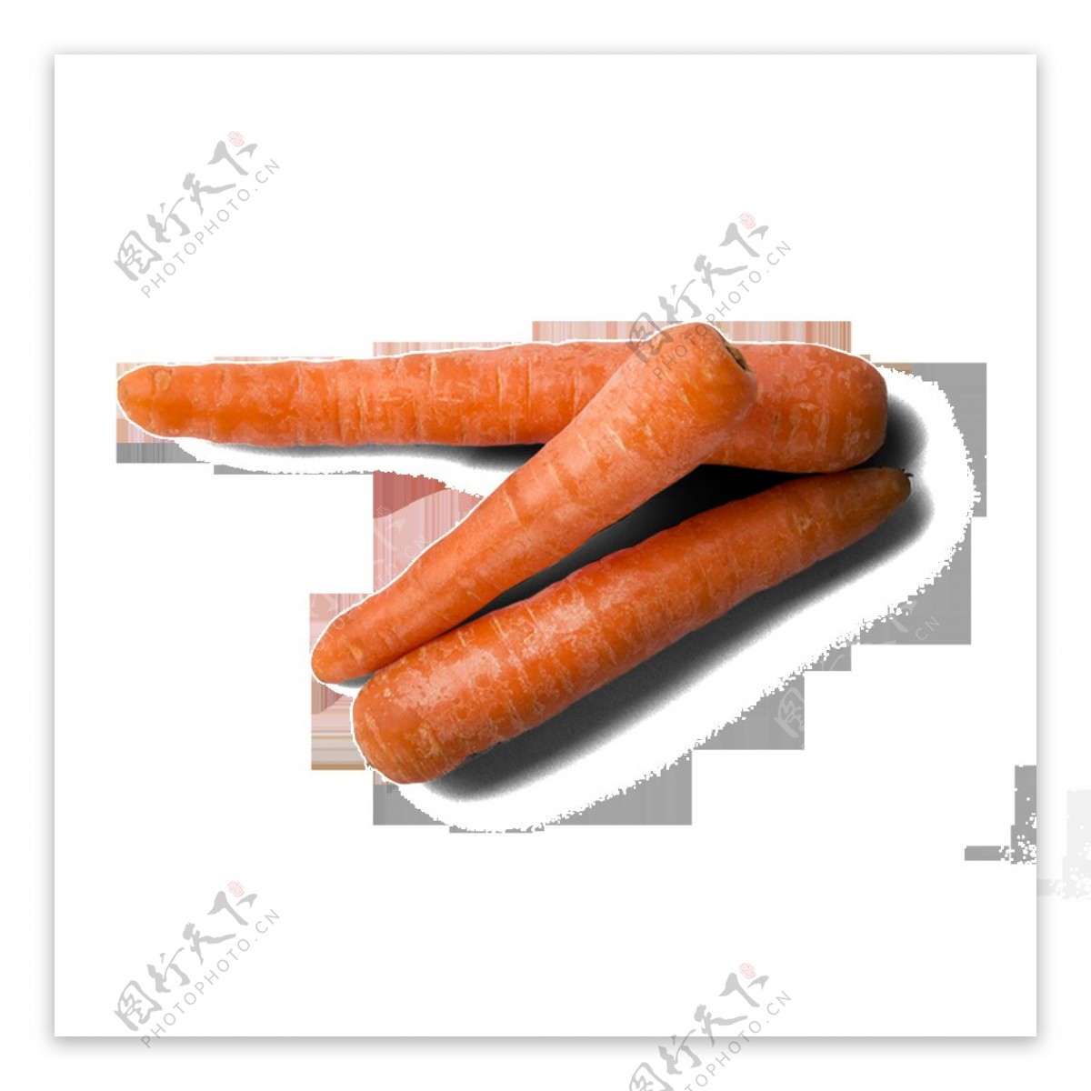 胡萝卜高清素材