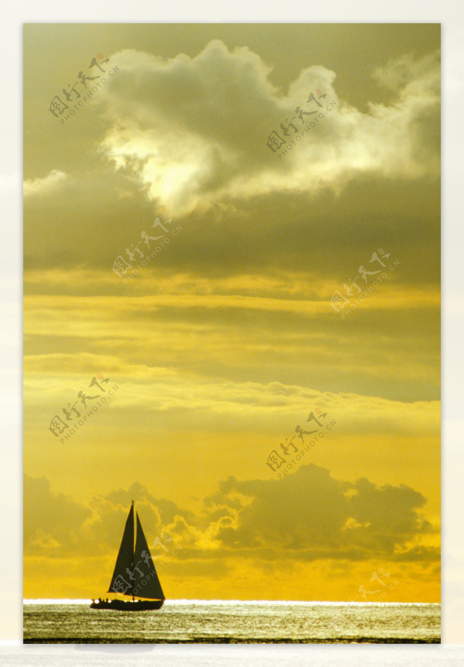 黄色海洋里的帆船图片