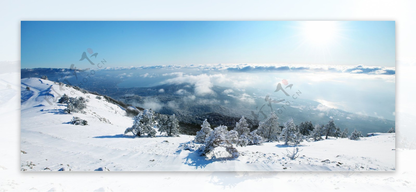 美丽宽幅冬季雪景图片