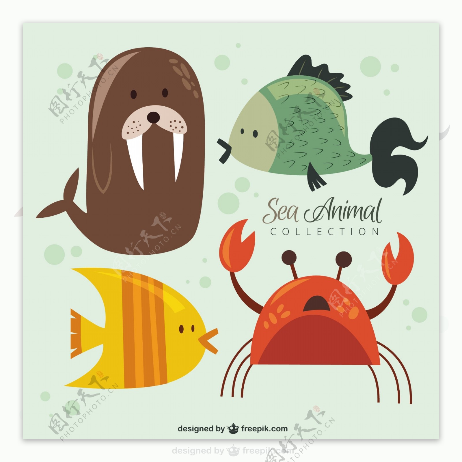 尼斯海动物集合