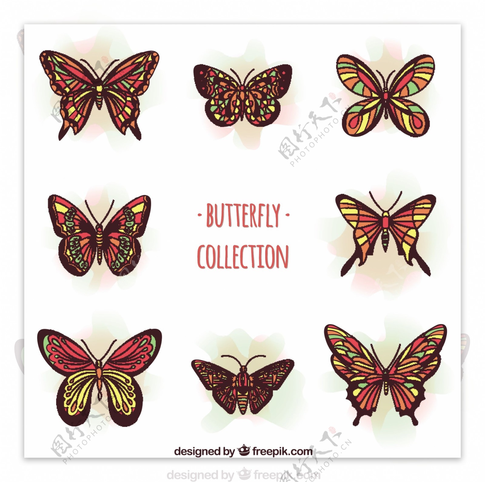 美丽的蝴蝶在红色的色调与黄色的细节