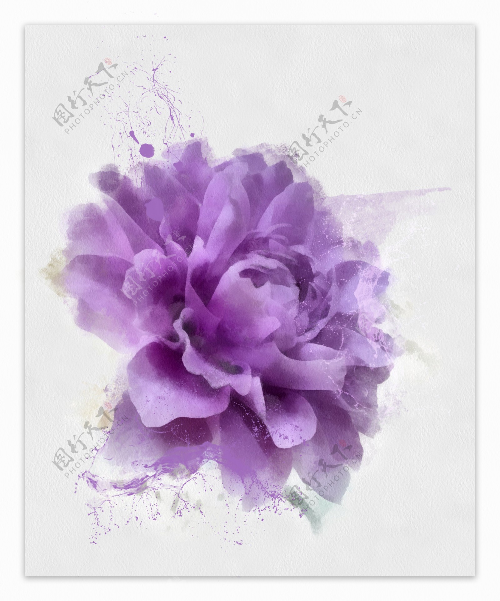 紫色水墨鲜花图片