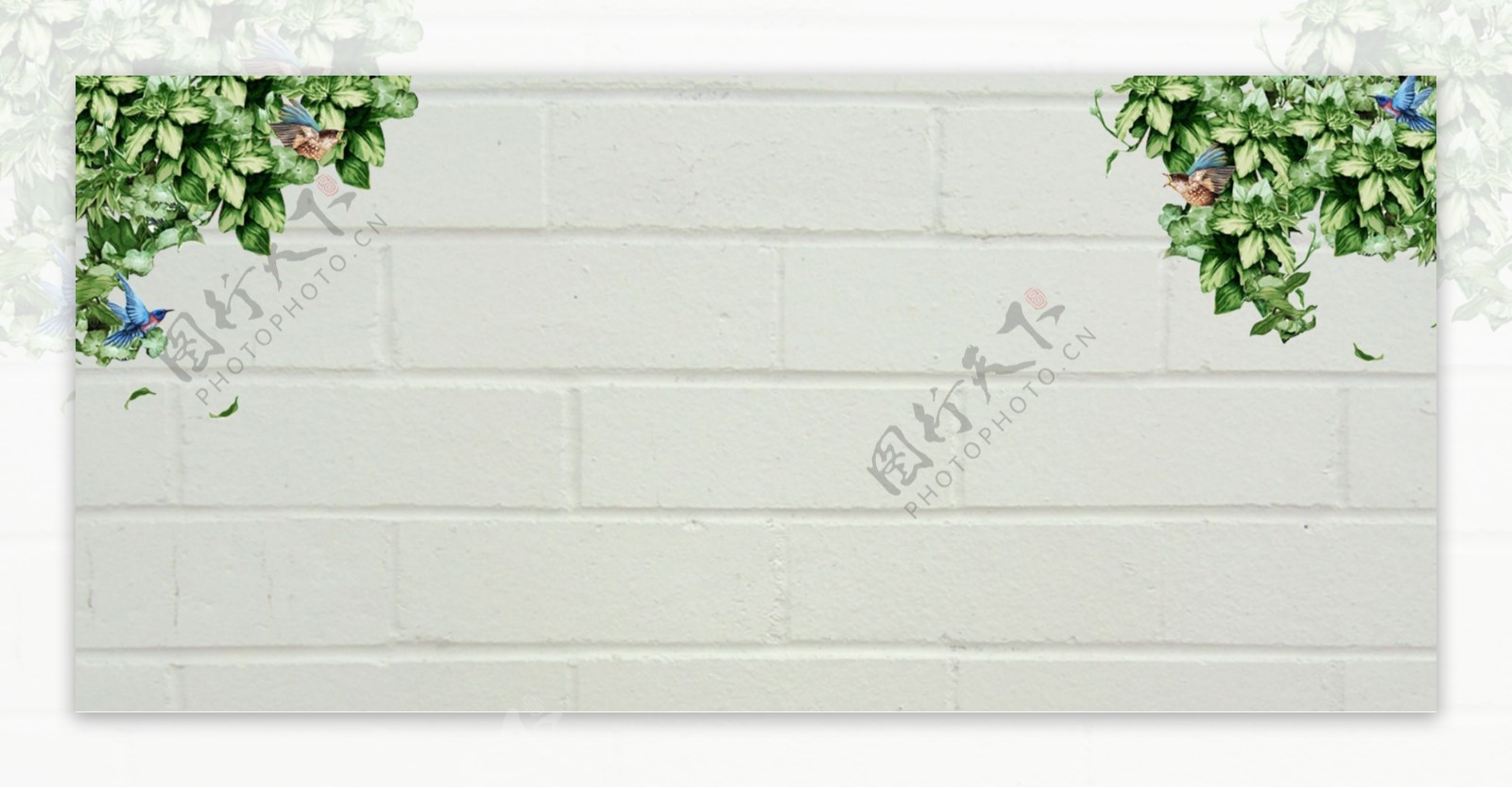 绿叶和小鸟白色砖墙背景图