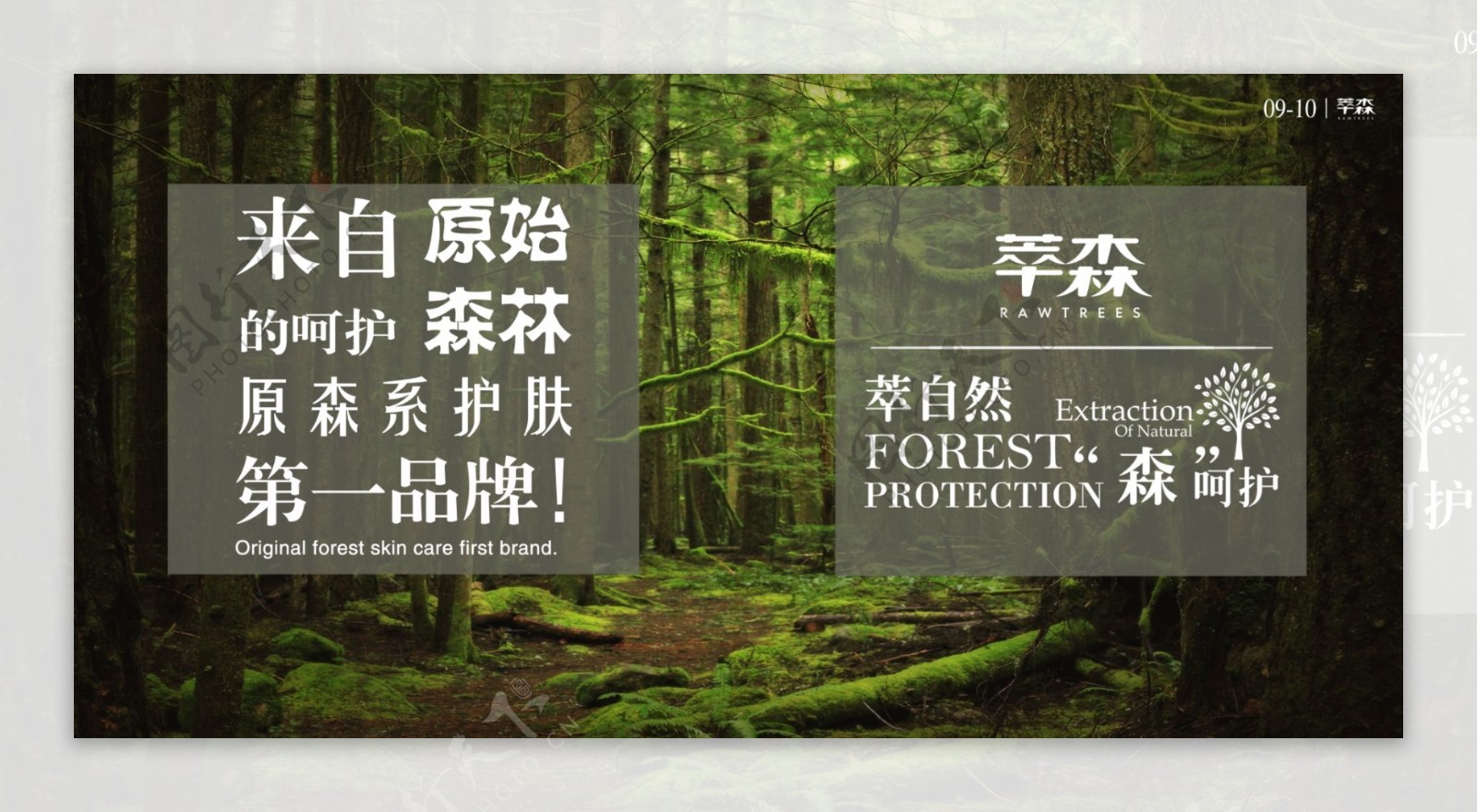 森林主题画册植物护肤绿色自然森林呵护