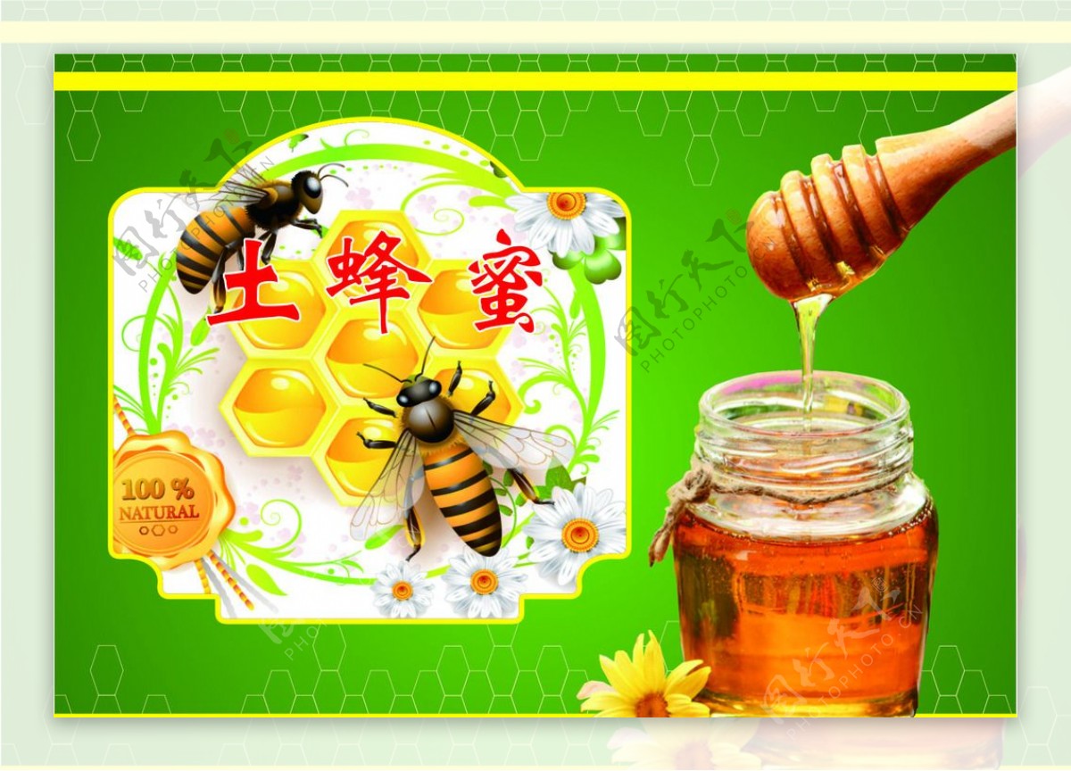 土蜂蜜海报