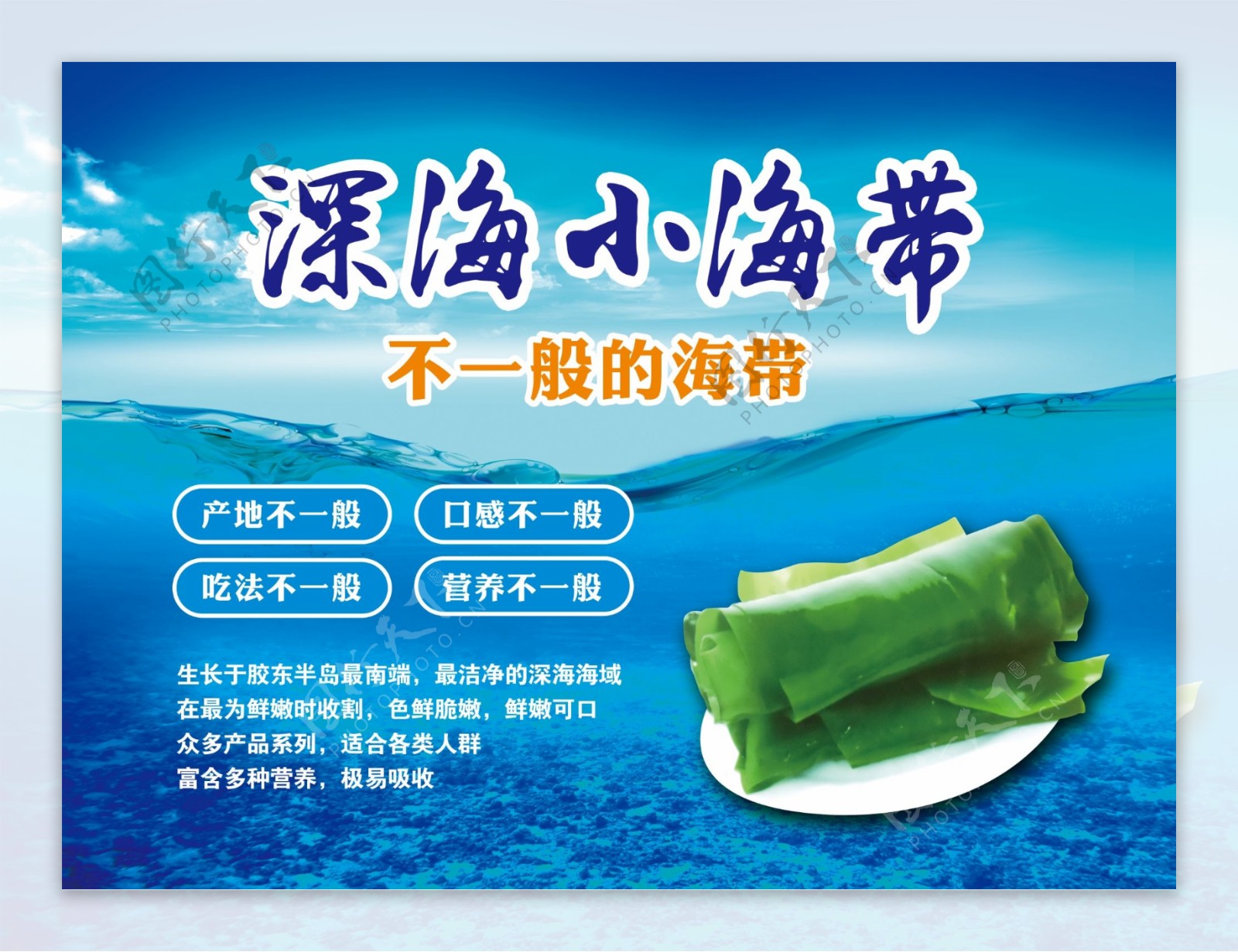 深海小海带